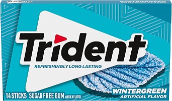 Trident Wintergreen Sugar Free Chewing Gum with Xylitol 14 Sticks 39 g