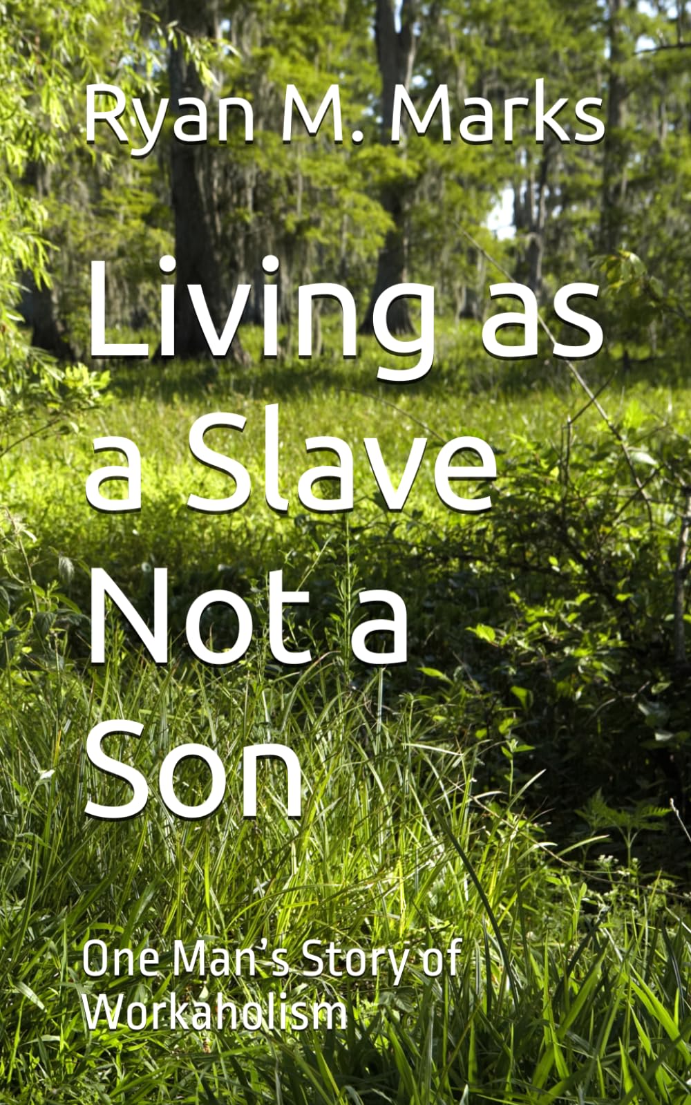 Living as a Slave Not a Son: One Man’s Story of Workaholism (Revitalization from Within)