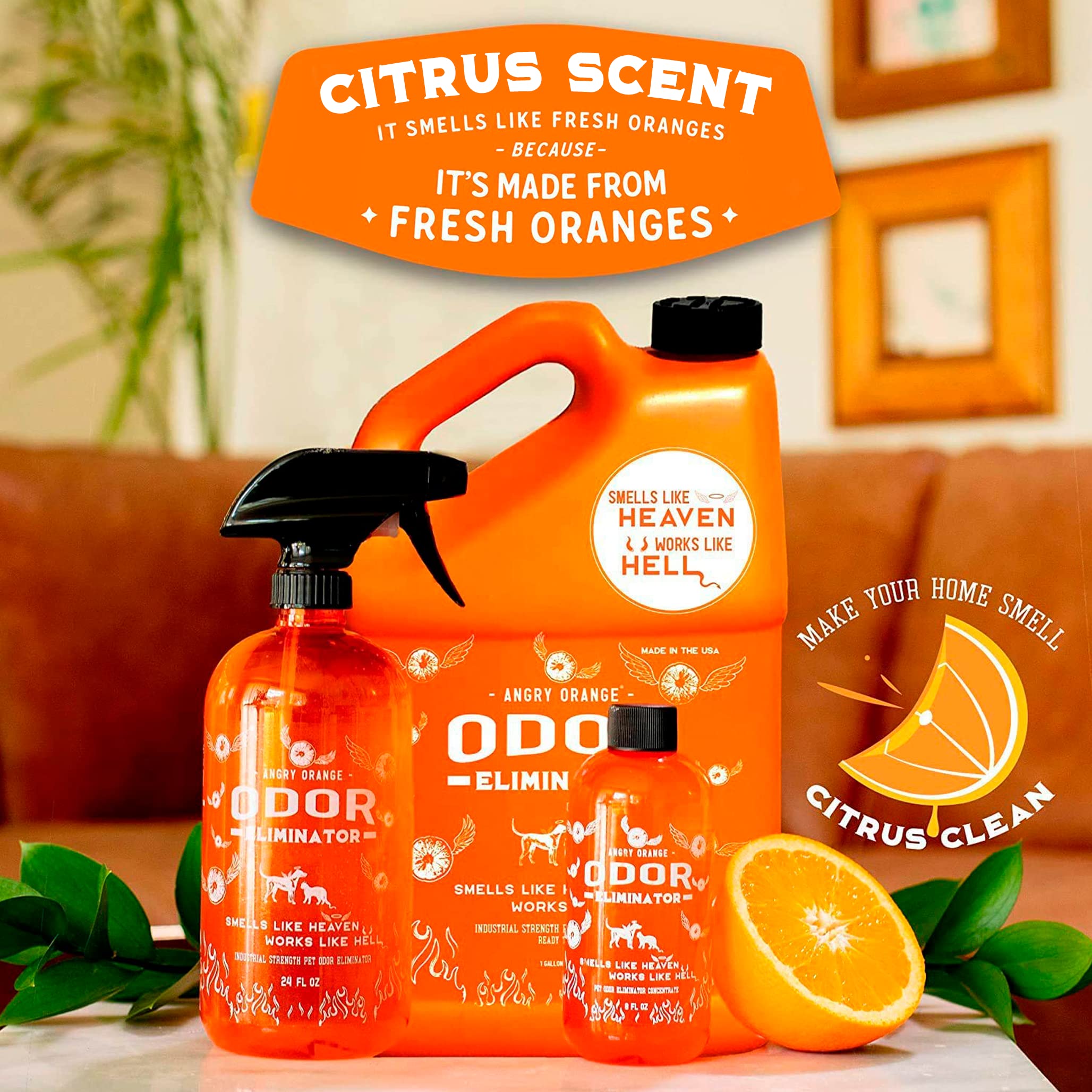 Buy ANGRY ORANGE Pet Odor Eliminator for Strong Odor Citrus