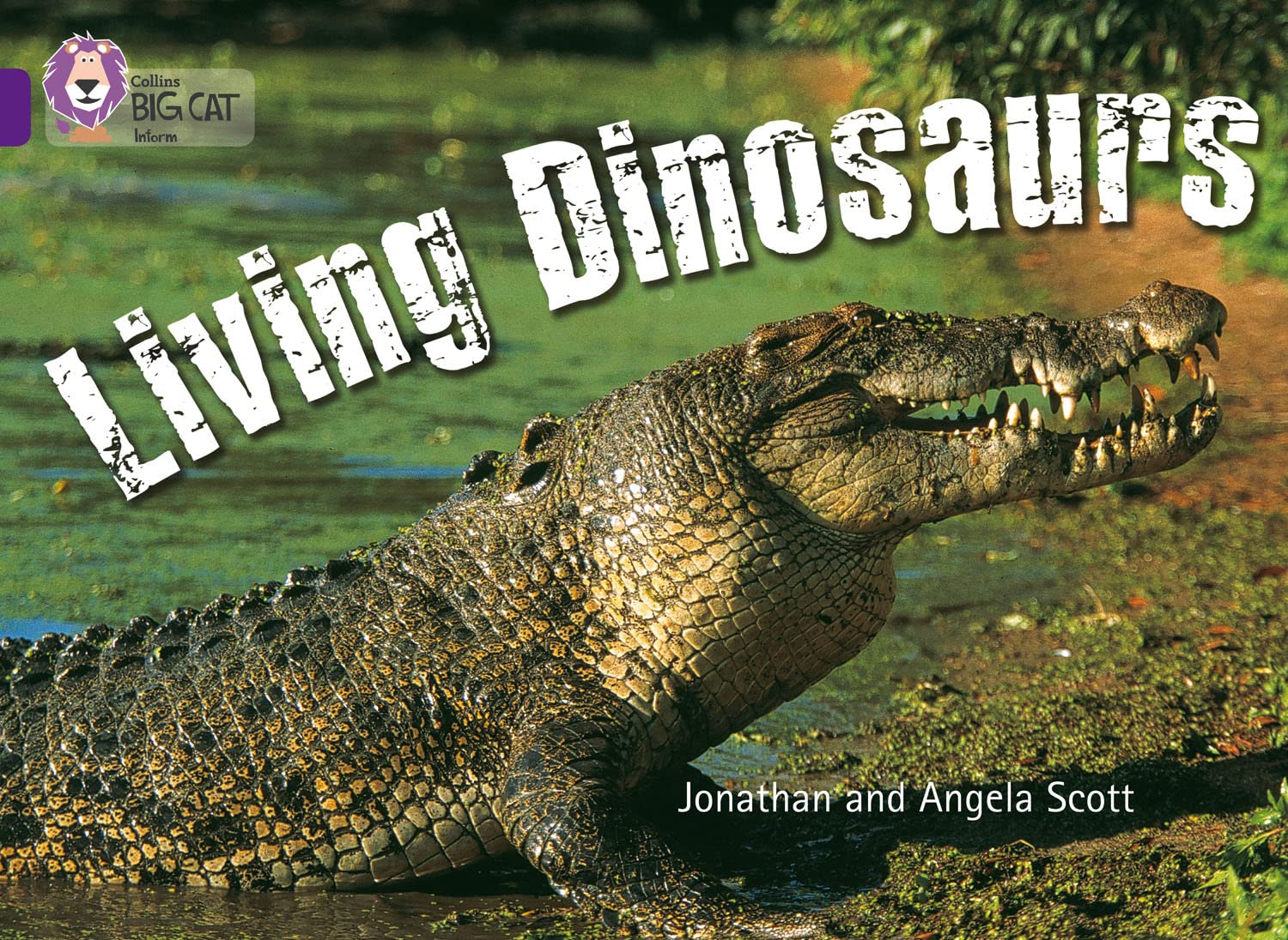 Living Dinosaurs: This fascinating non-chronological report reveals to the reader the success story of crocodiles and lizards. (Collins Big Cat)