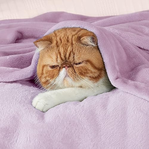 Miniatura 2 de Bedsure - Manta de vellón, tamaño individual XL, ligera, suave, acogedora, para dormitorio universitario, cama, sofá, viajes y campamento, color