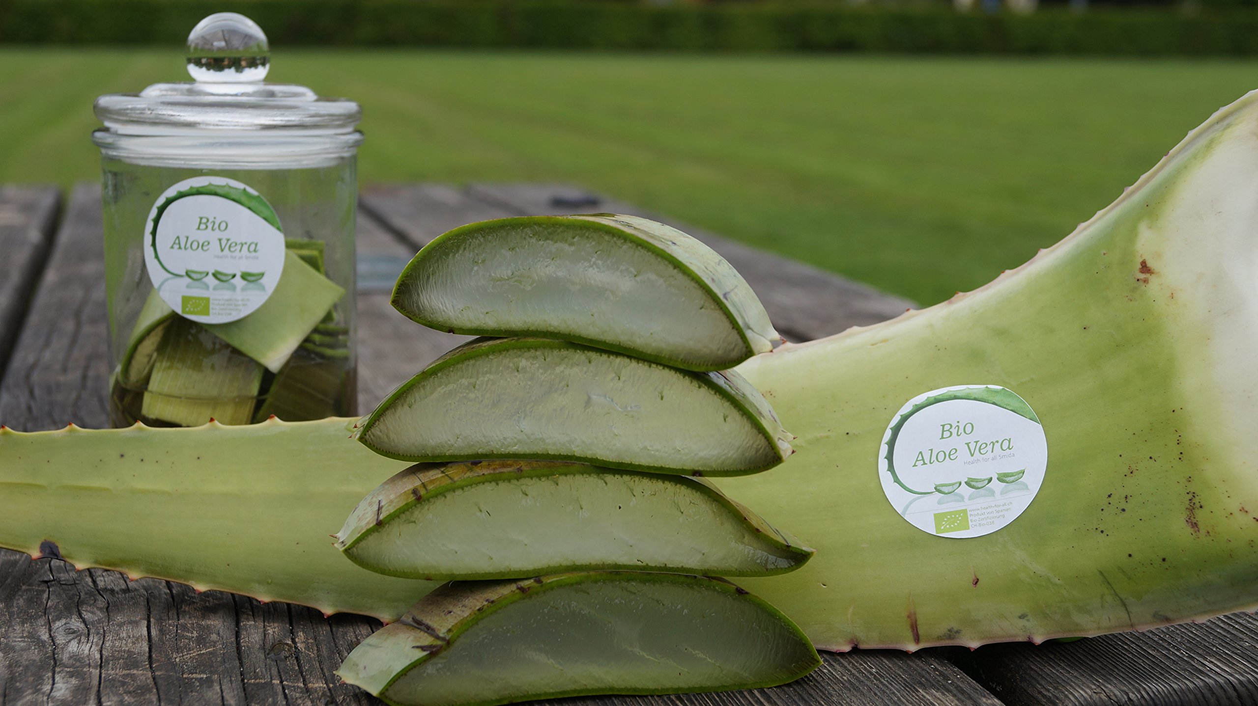 gel cheveux aloe vera MKL Restorative Body Gel With Organic Aloe Vera 200ml (6.76fl oz) main image 1