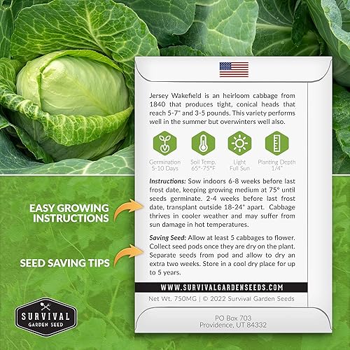 Miniatura 2 de Survival Garden Seeds - Semilla de col Jersey Wakefield para plantar - Paquete con instrucciones para plantar y cultivar repollos verdes en forma de