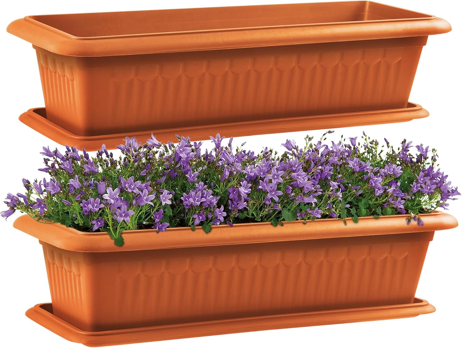 ZENQA 2 x XL Strong Large Trough Planters for Outdoor With Saucer Rectangular 80 cm | Indoor Outdoor Plastic Long Planter Flower Plant Pot | Perfect for Gardens Patios Balconies(2, Terracotta) ZENQA 2 x XL Strong Large Trough Planters for Outdoor With Saucer Rectangular 80 cm | Indoor Outdoor Plastic Long Planter Flower Plant Pot | Perfect for Gardens Patios Balconies(2, Terracotta)