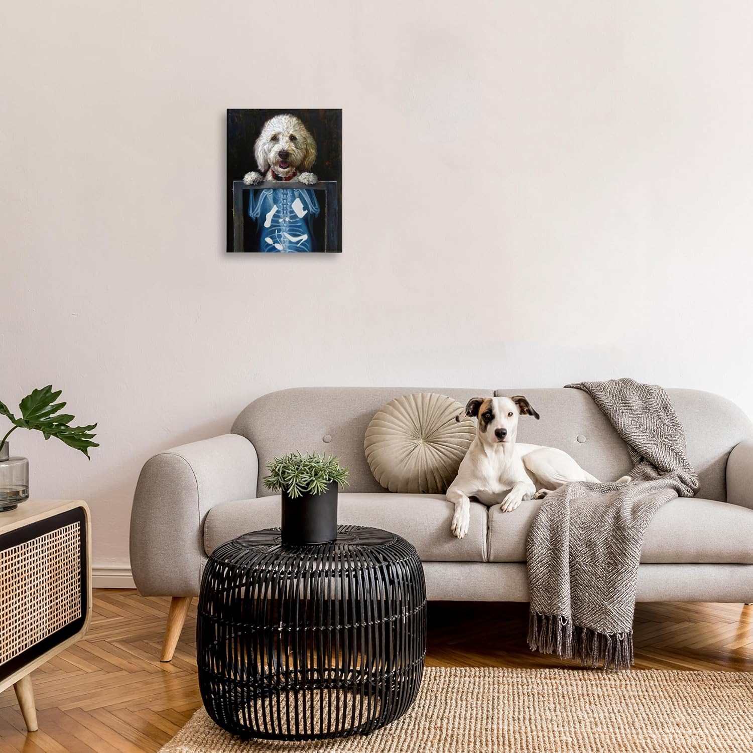 Stupell Industries Funny Dog X-Ray Snacks Canvas Wall Art, Design by Lucia Heffernan