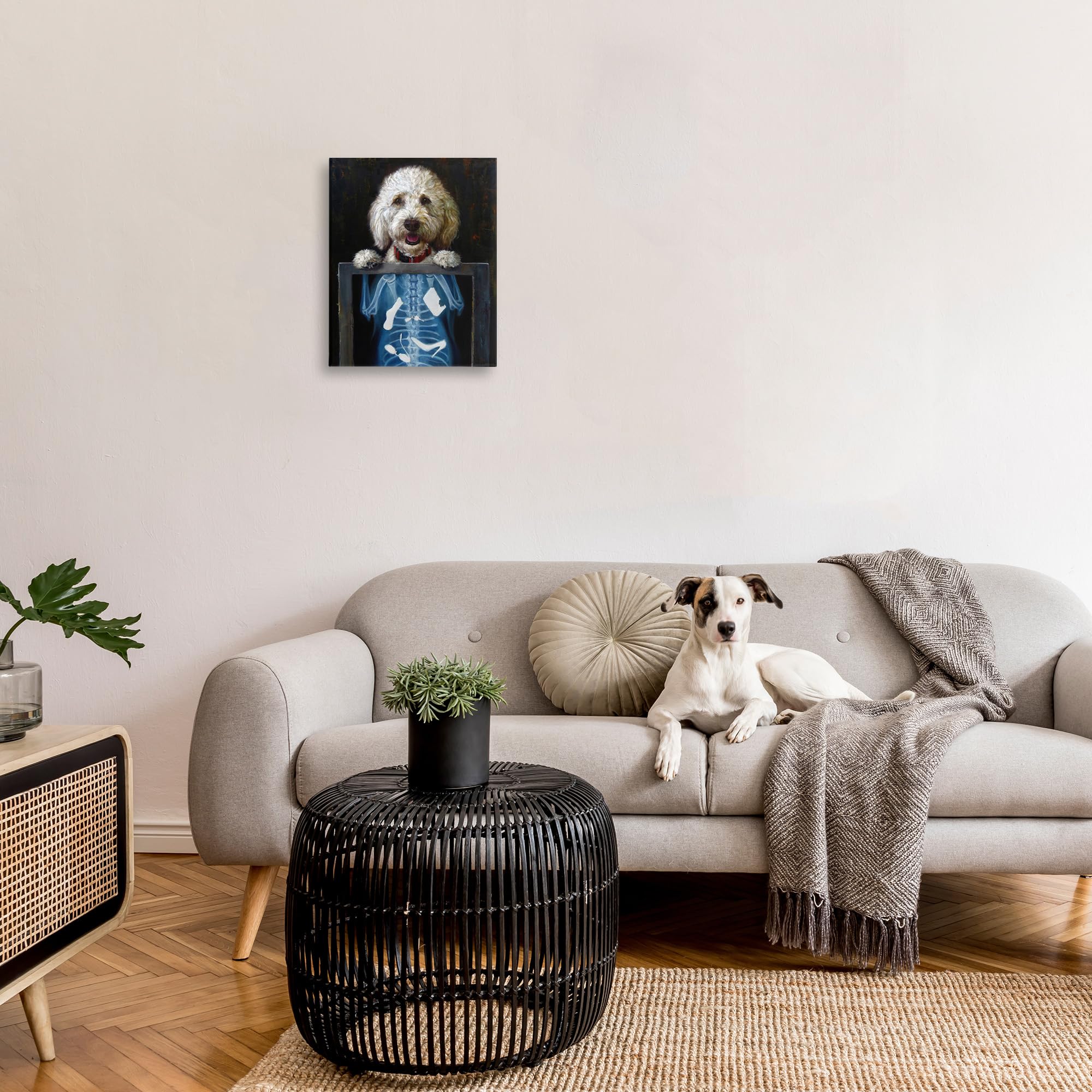 Amazon.com: Stupell Industries Funny Dog X-Ray Snacks Canvas Wall