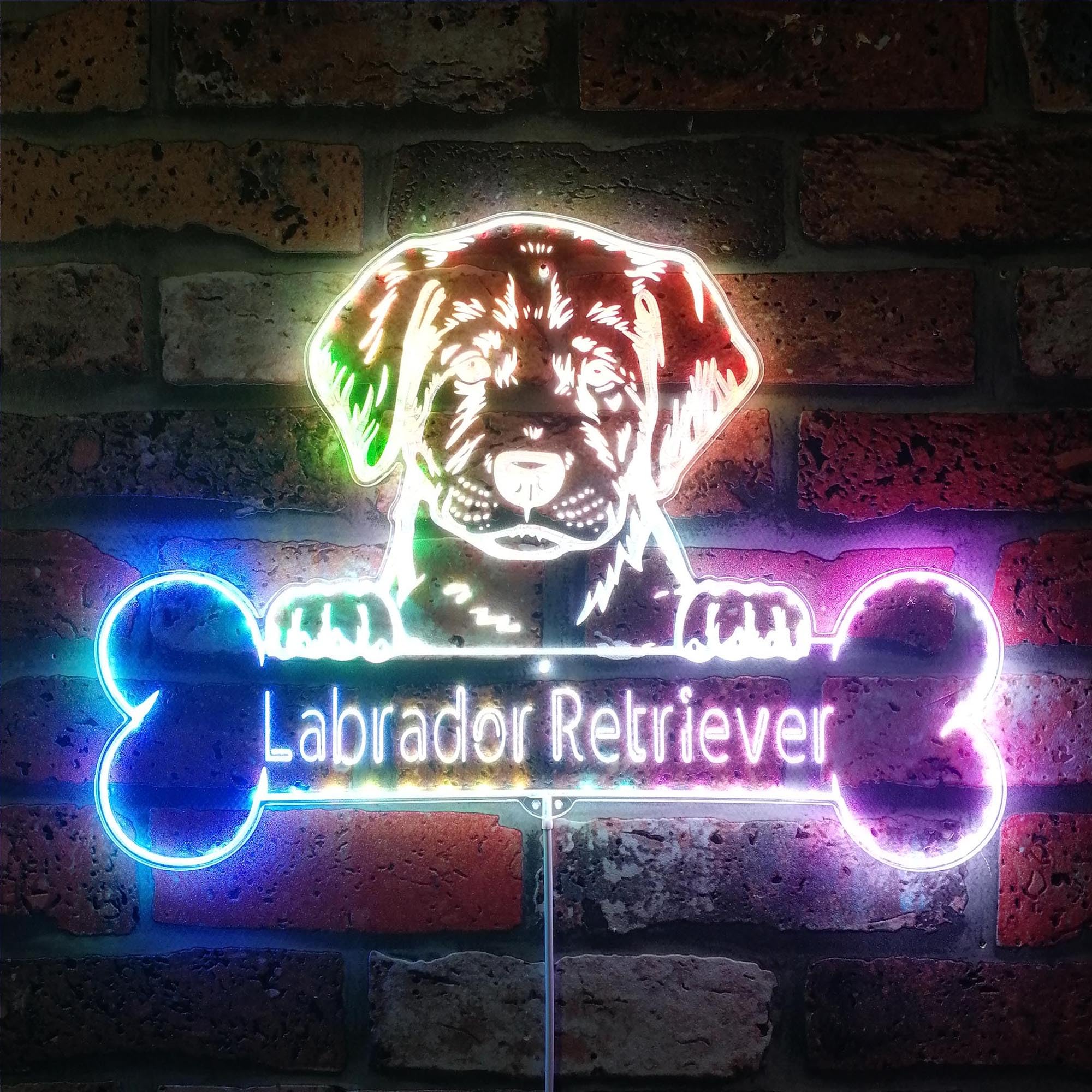 ADVPRO Name Personalize Labrador Retriever Dog RGB Dynamic Glam LED Sign - Cut-to-Edge Shape - Smart 3D Wall Decoration - Multicolor Dynamic Lighting - st06s43-fnd-p0075-tm