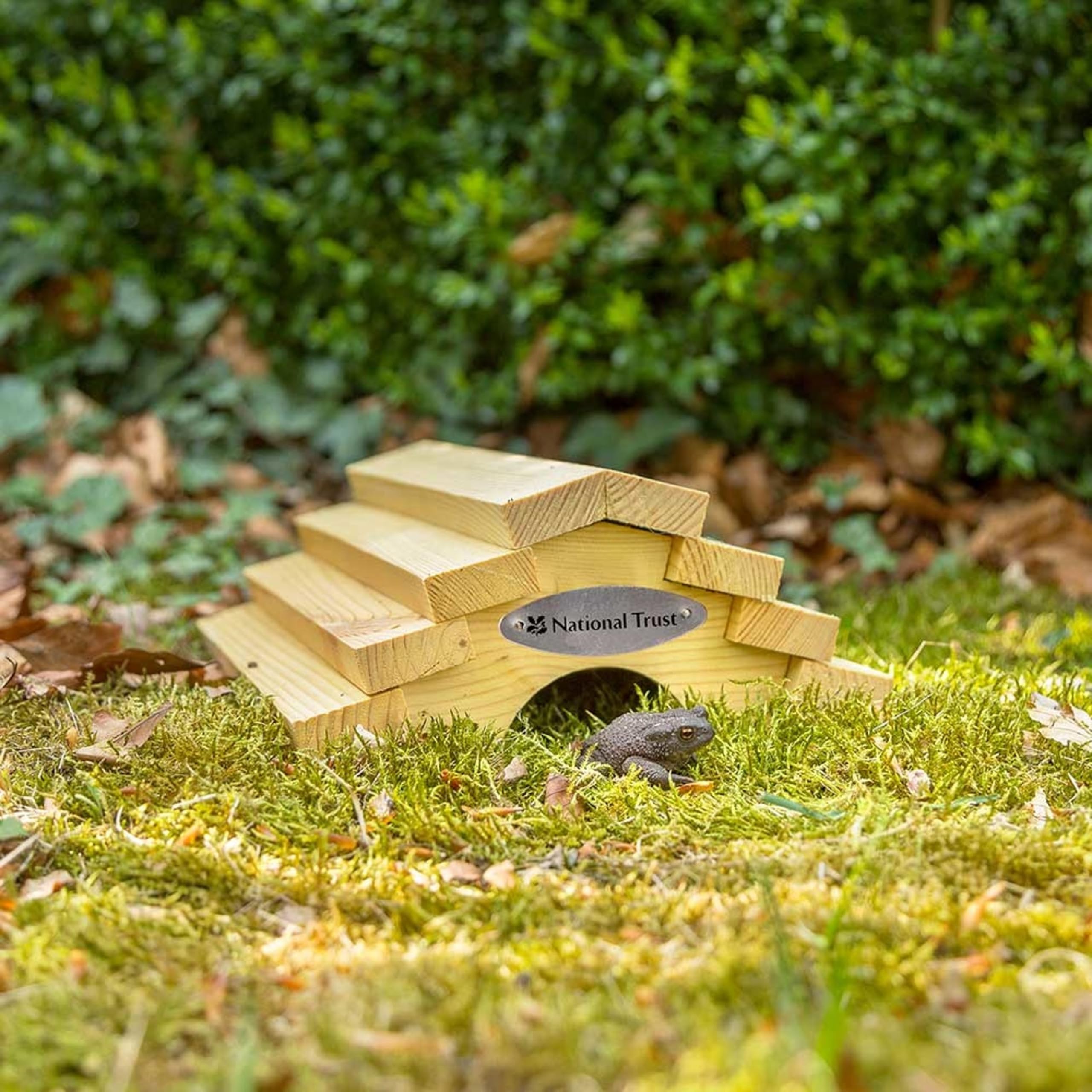 National Trust Toad & Frog House – Reptile Hide – Spruce Wood FSC® 100% – Garden Amphibian Shelter