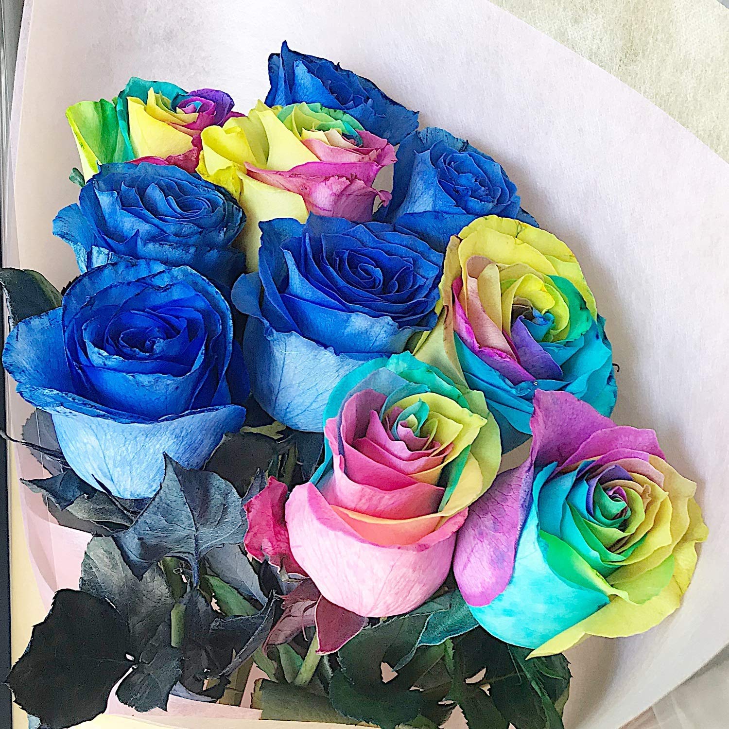 Amazon｜BisesFlower(ビズフラワー)【クール便出荷】バラ 花束 10本