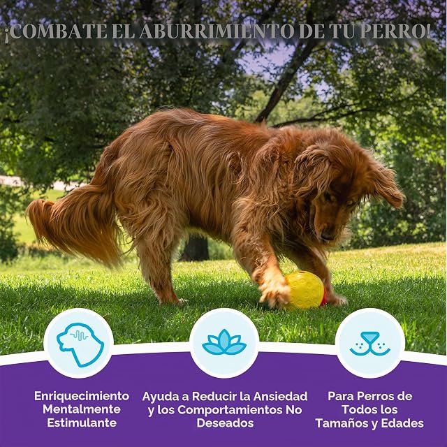 Foto 3 de 8 de Outward Hound Nina Ottosson Treat Tumble - Balón dispensador de recompensas - Rompecabezas para Perros