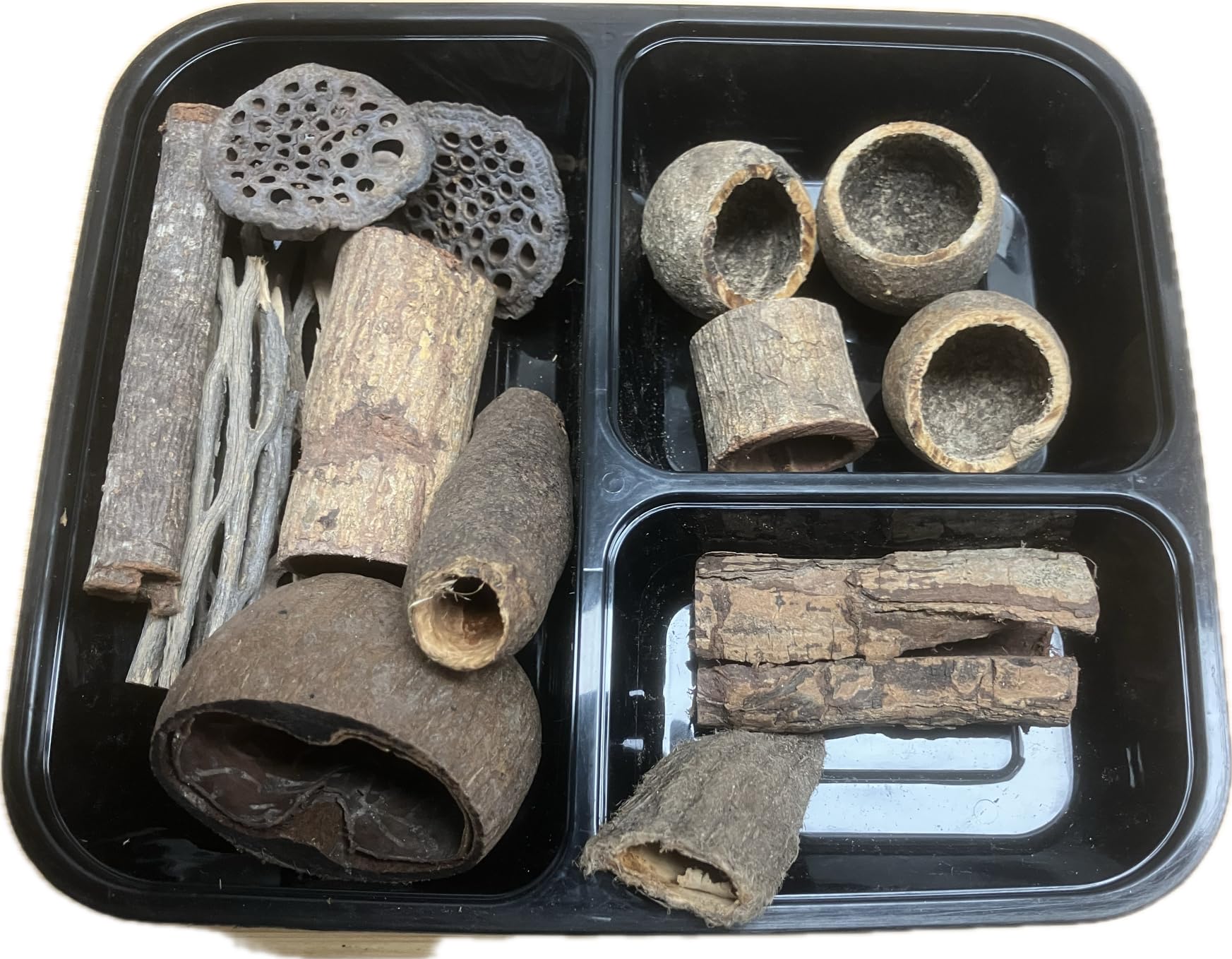 Catappa-Leaves Aquarium Set of 15 with Caves as Hiding Place - Vuka Cholla Lotus Pods Mango Pod Sea Almond Tree Bark Natural Products