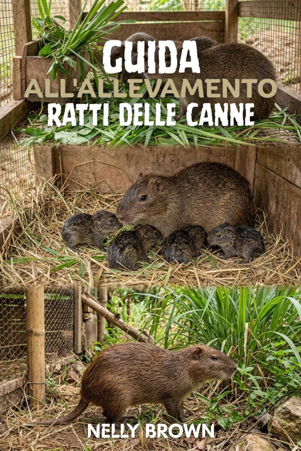 Guida all'allevamento del ratto di canna: 12 passaggi essenziali per allevare bestiame sano ed evitare i comuni errori in agricoltura
