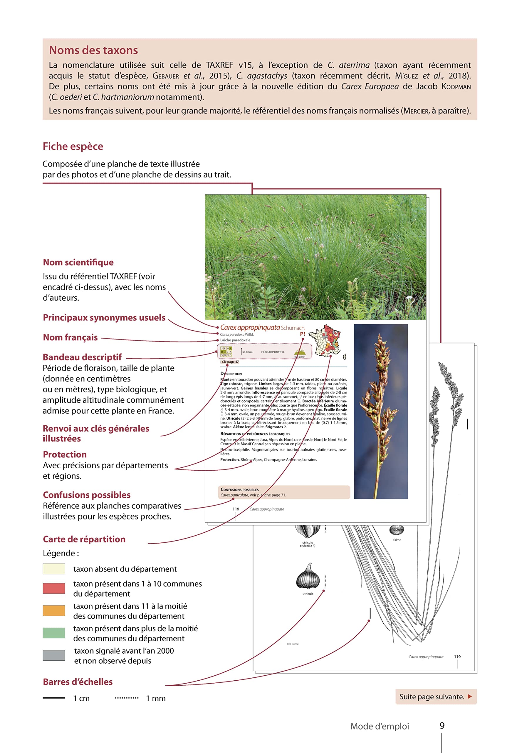 Carex de France