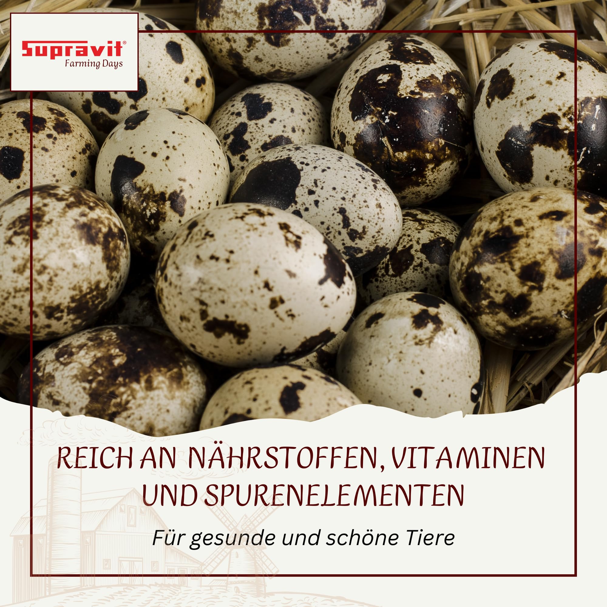 Supravit Wachtelfutter 25kg | Vollwertige Körnermischung für Wachteln,