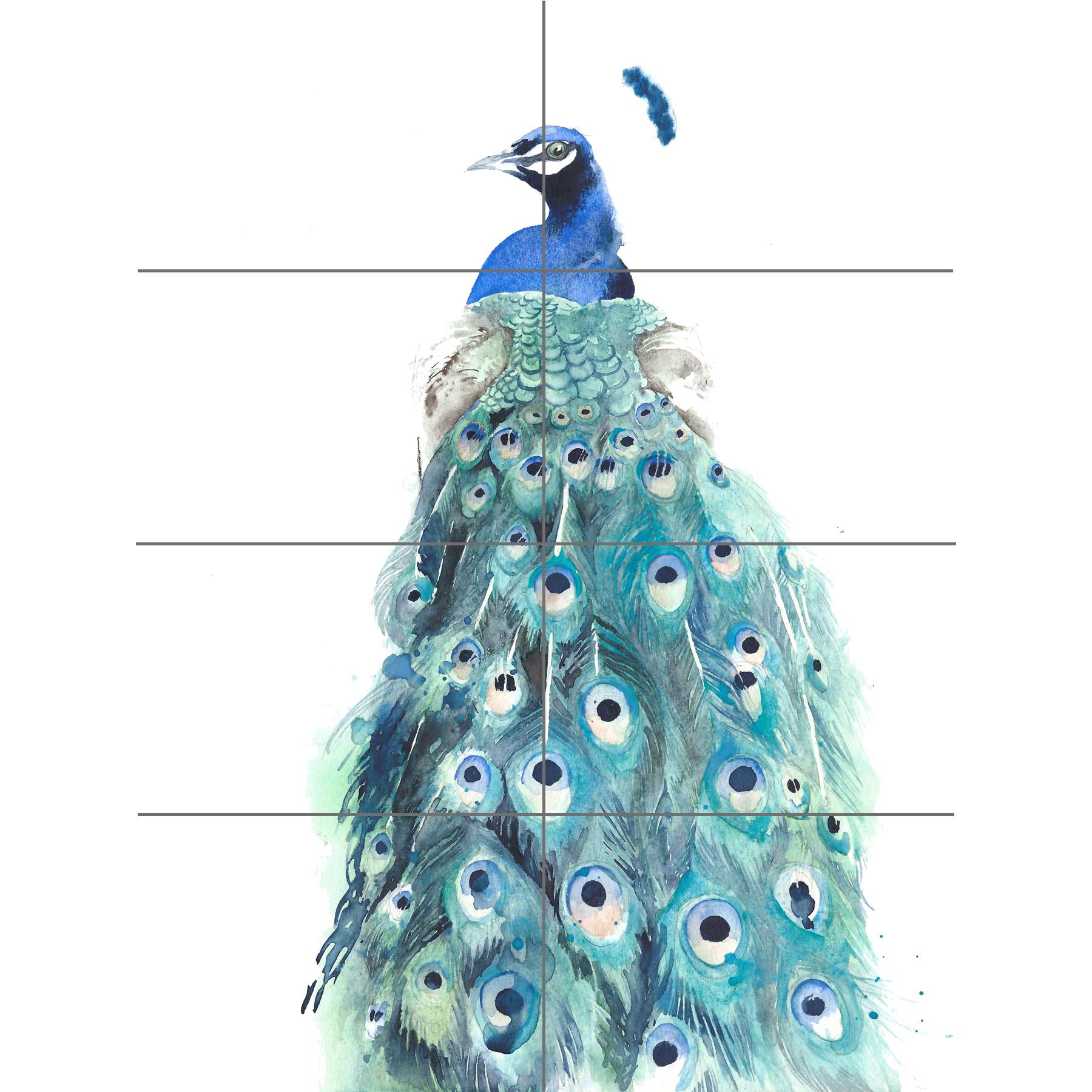 Artery8 Bird Peacock Watercolour XL Giant Panel Poster (8 Sections)