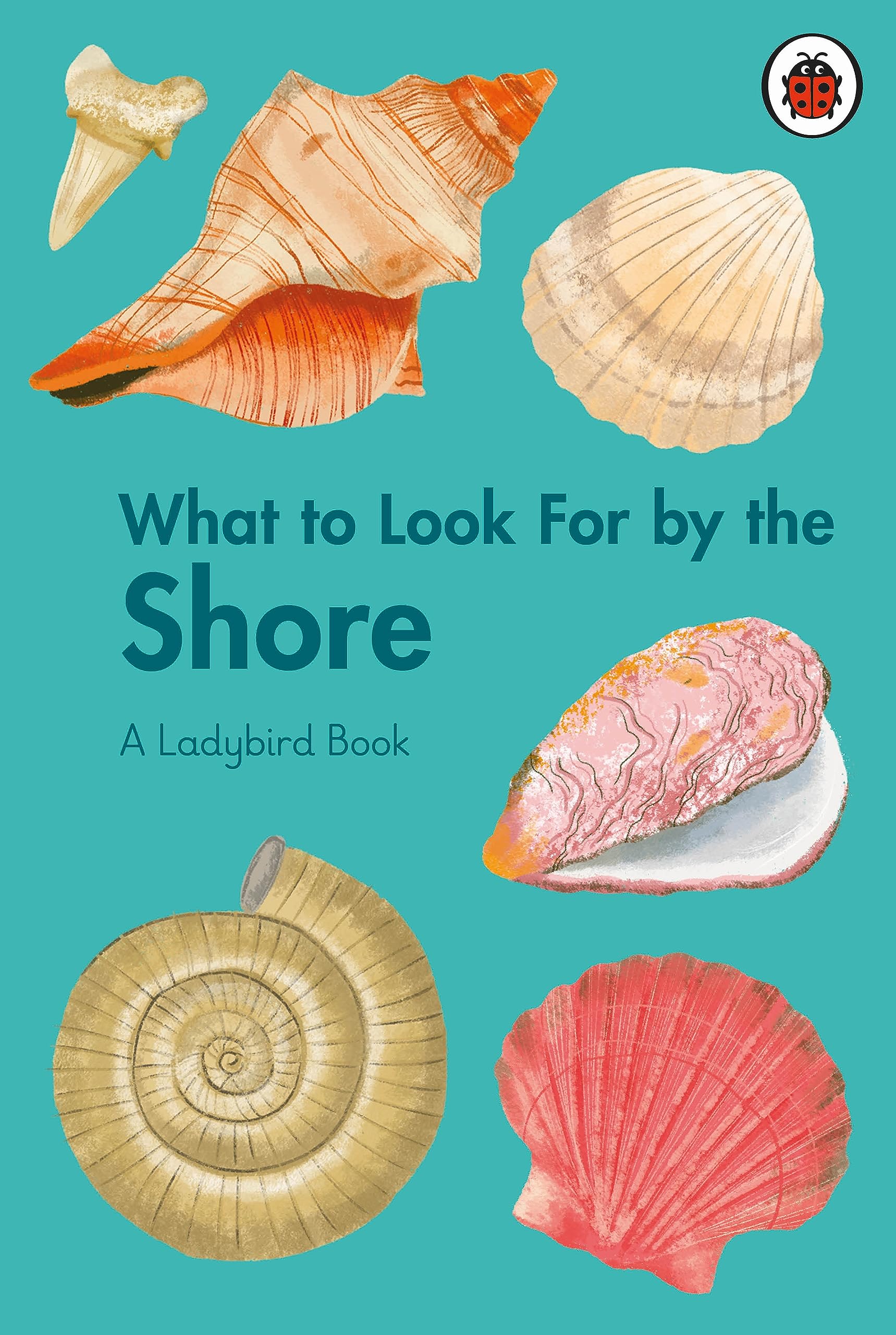 What to Look For by the Shore by Becky Brown (Hardback Book)