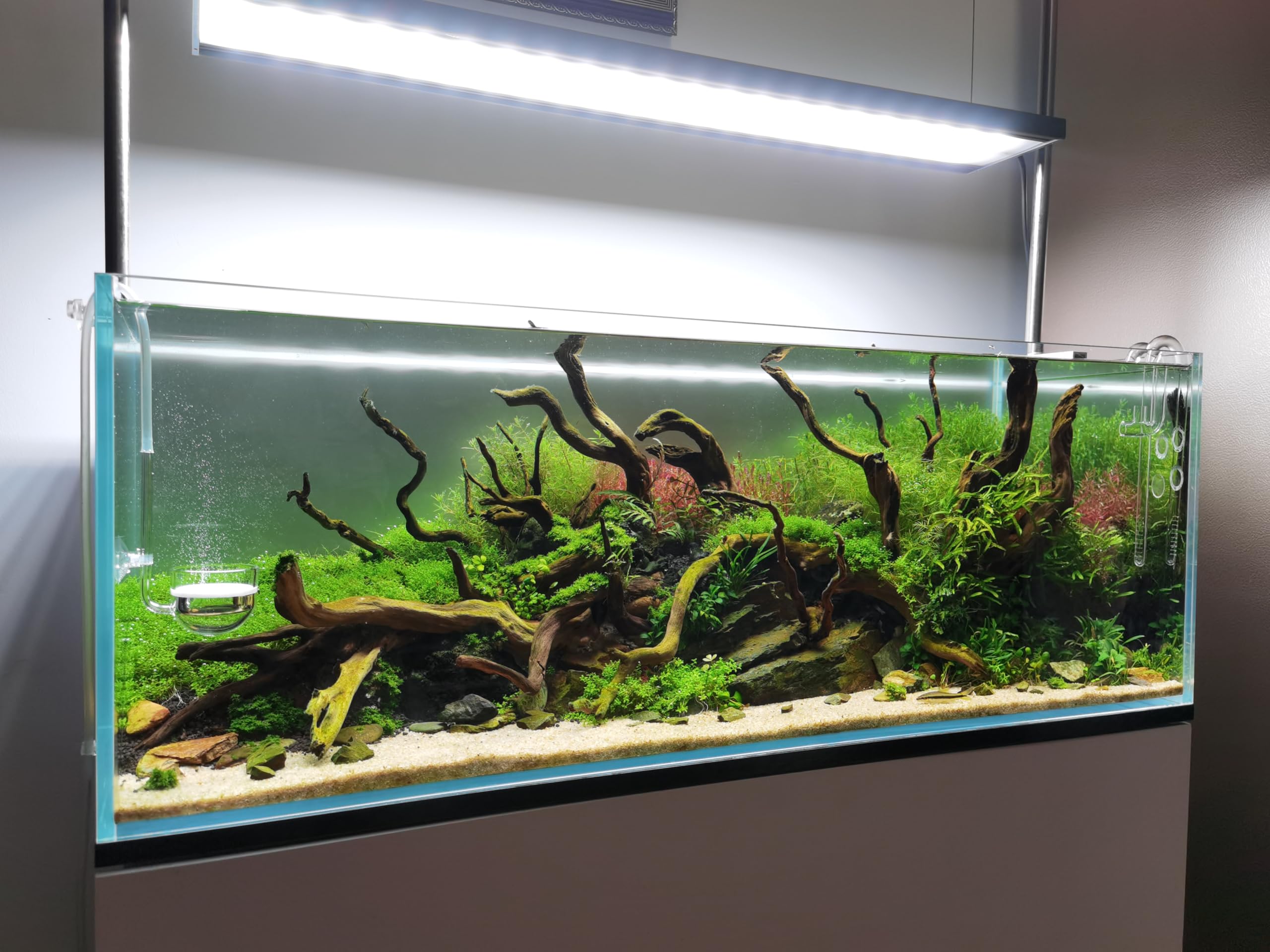 Diffuseur de CO2 en verre pour plante d'aquarium
