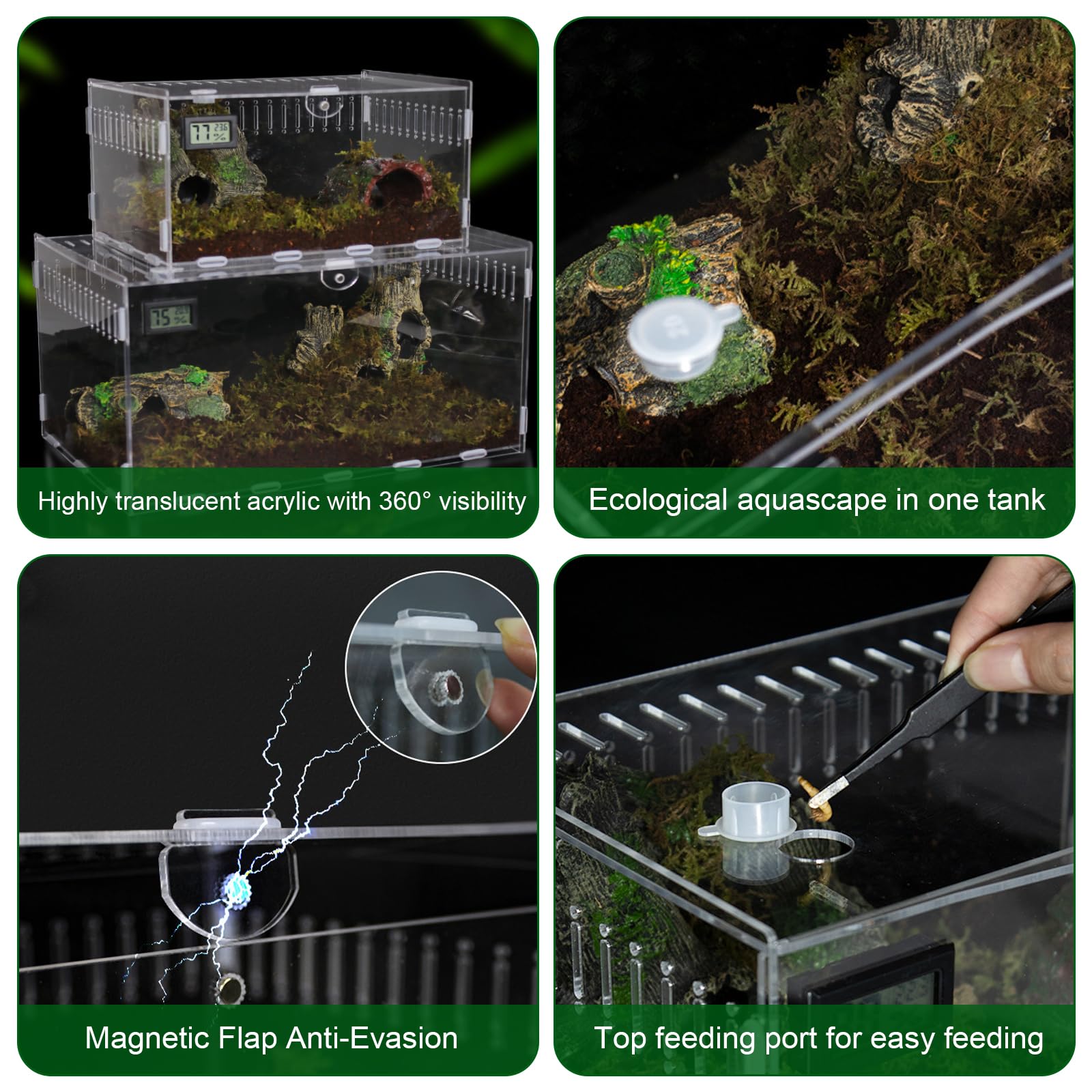Terrarium à Escargots, Récipient en Acrylique d'Insecte, Terrarium Transparent pour Lézards, Terrarium pour Reptiles, Habitat Portable pour Reptiles et Amphibiens, Grenouilles, Scorpions (20×12×12cm)