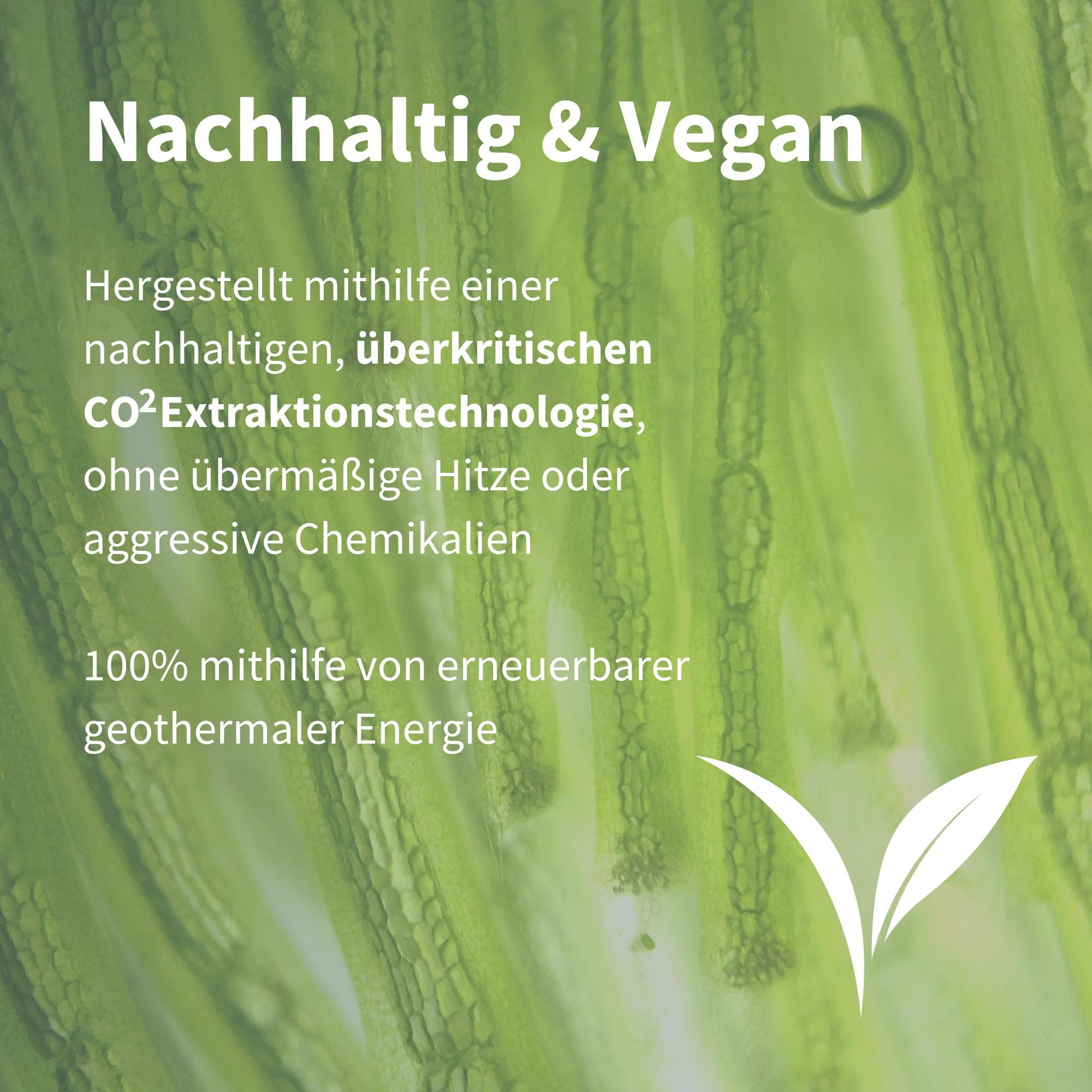 Igennus Ultra Pure Astaxanthin – Antioxidantien-Komplex mit 42 mg H. pluvialis, enthält 4 mg natürliches Astaxanthin, 90 vegane Kapseln, gentechnikfrei