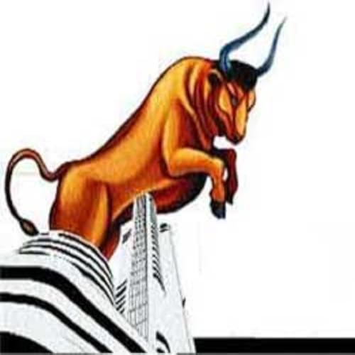 My Stocks