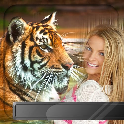 Tiger Picture Frames Kritters in the Mailbox Tiger Photo Frames