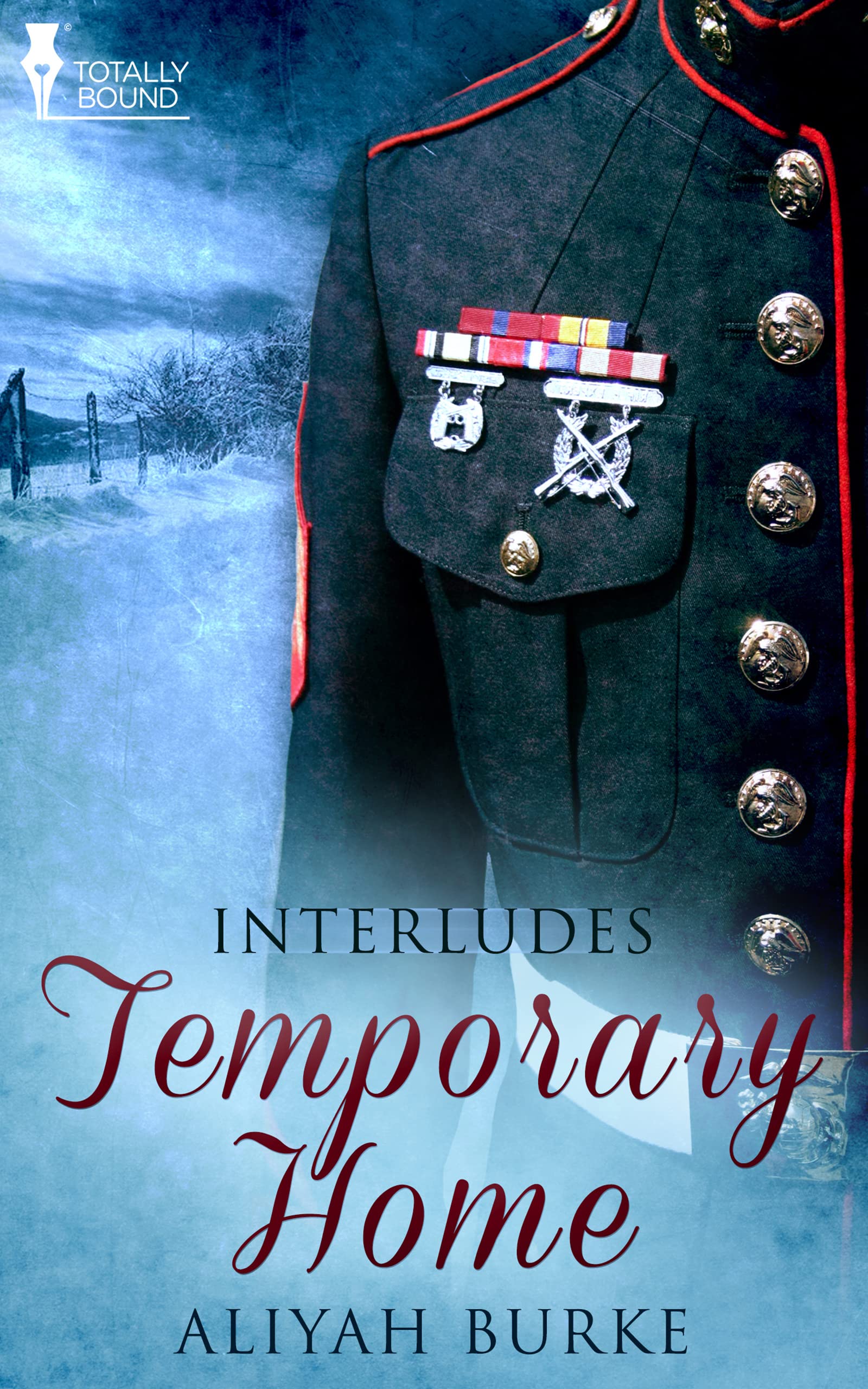 Temporary Home (Interludes Book 1)