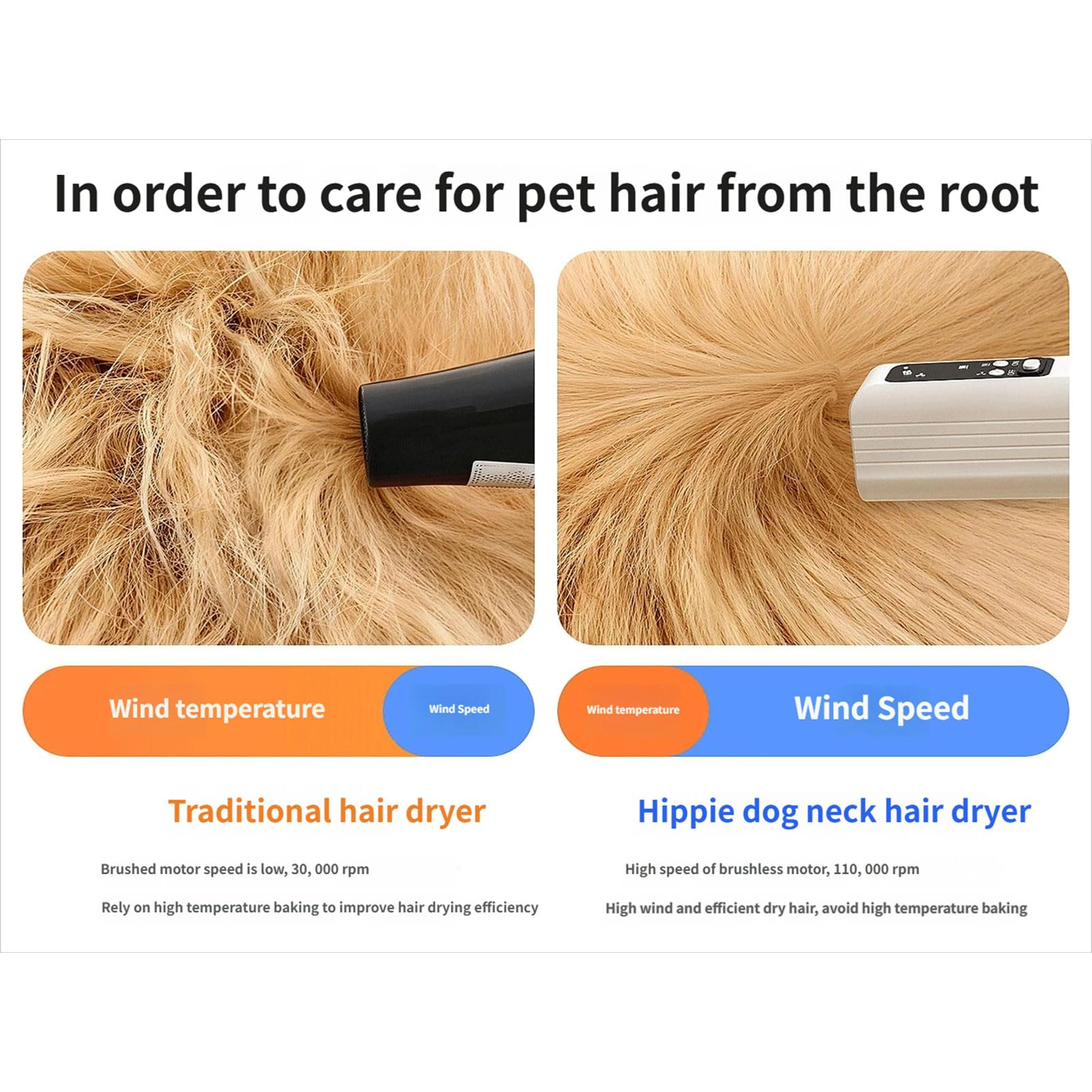 Sèche-linge pour animaux domestiques puissants - Séchage rapide - Portable - Outil de toilettage pour chien