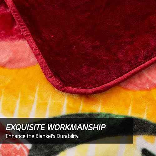 Miniatura 4 de JYK Manta de forro polar de felpa, tamaño Queen, 91 x 75 pulgadas, 1 capa, 3.7 libras, suave, de visón coreano, cálida, ligera, para cama, sofá,