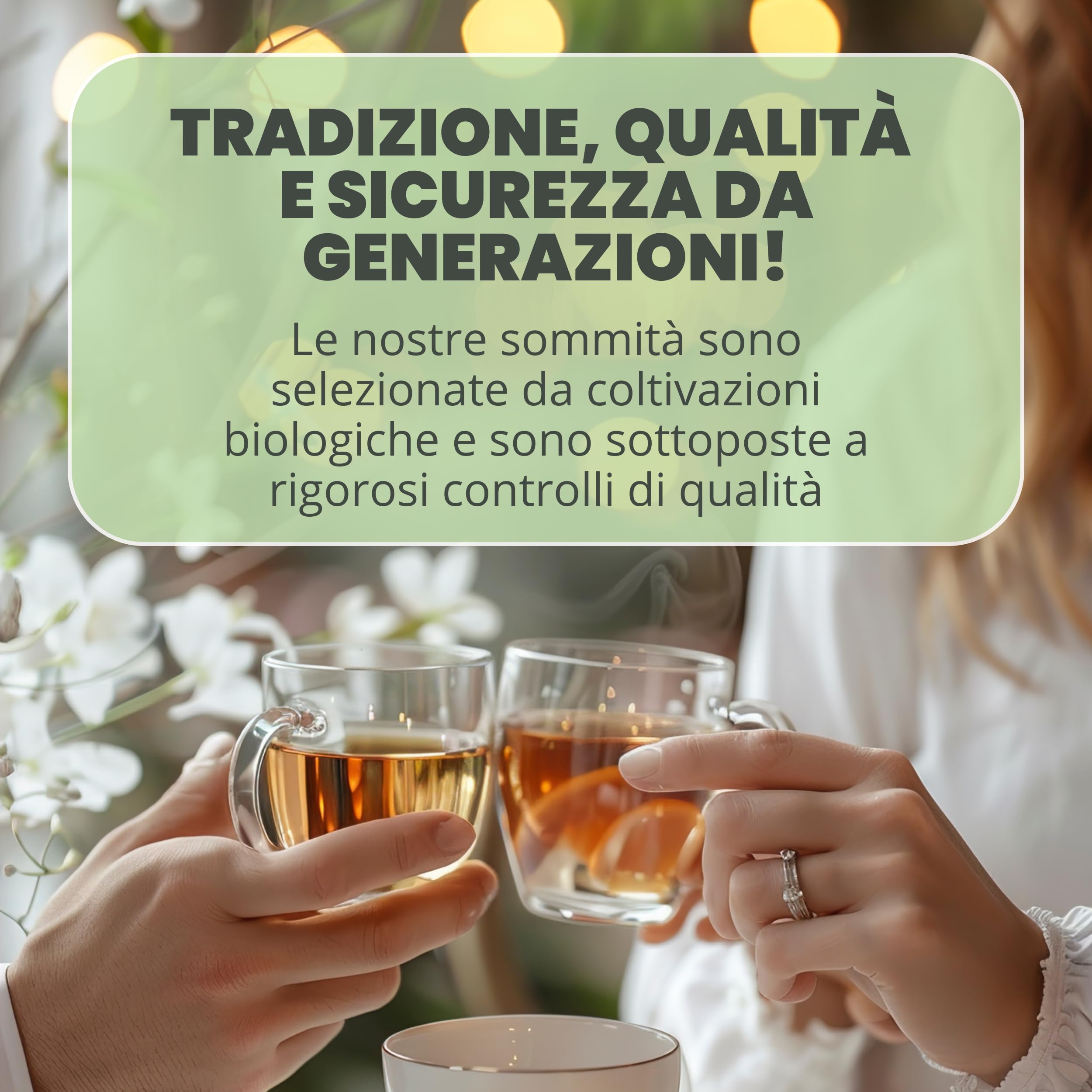 Patrizio Breseghello - Mentastro, Menta Dolce/Romana Sommità Taglio Tisana, Menta Essiccata Per Infusi e Tisane alle Erbe Officinali (500 Grammi BIO)