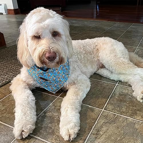 Miniatura 5 de Lionheart glory Bandana para perro, 1 paquete de bufanda lavable suave azul para perro, estampado de cerveza, bandana cuadrada ajustable para perros