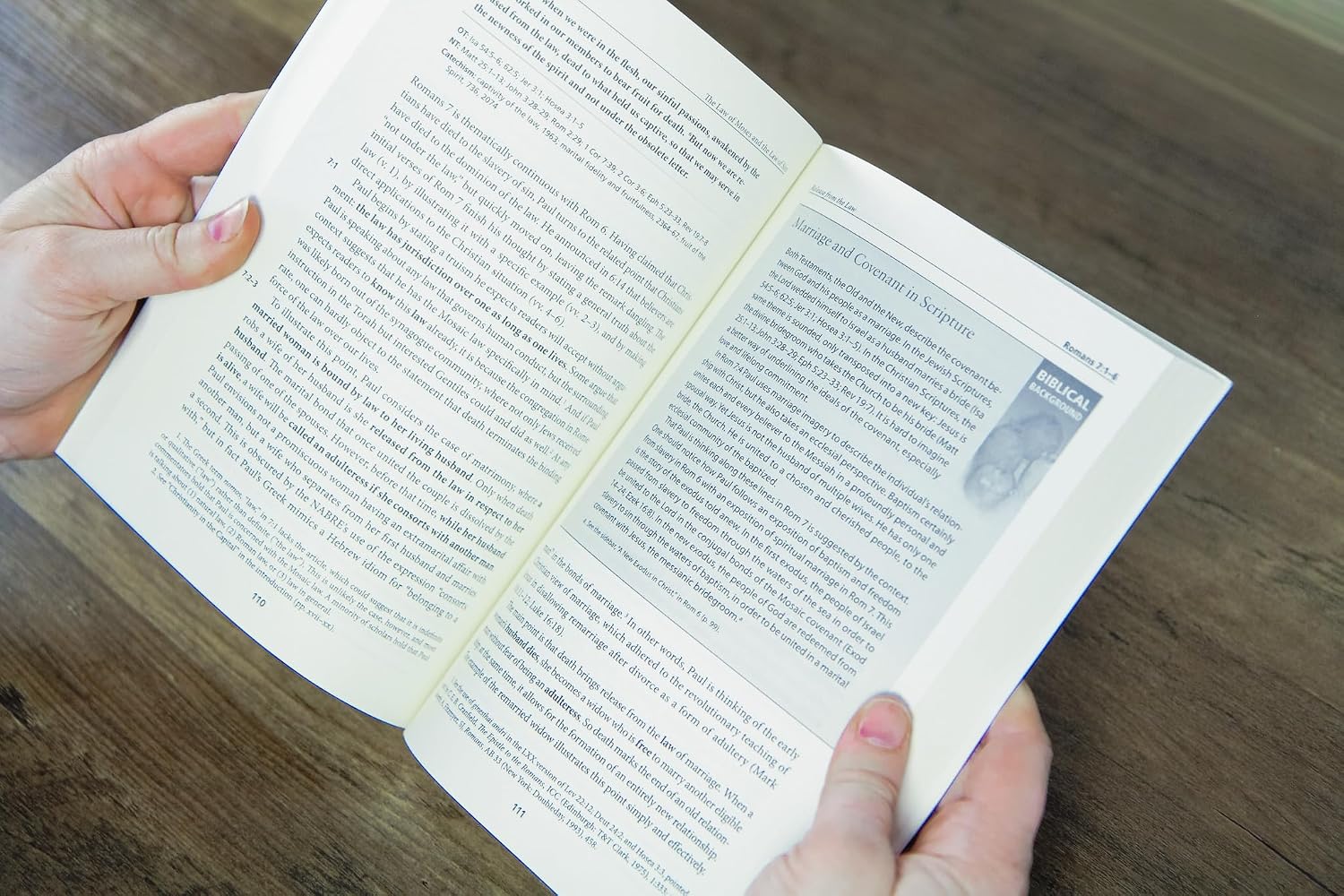 Romans: A Catholic Bible Commentary on the New Testament by Trusted Biblical Scholars | CCSS (Catholic Commentary on Sacred Scripture)