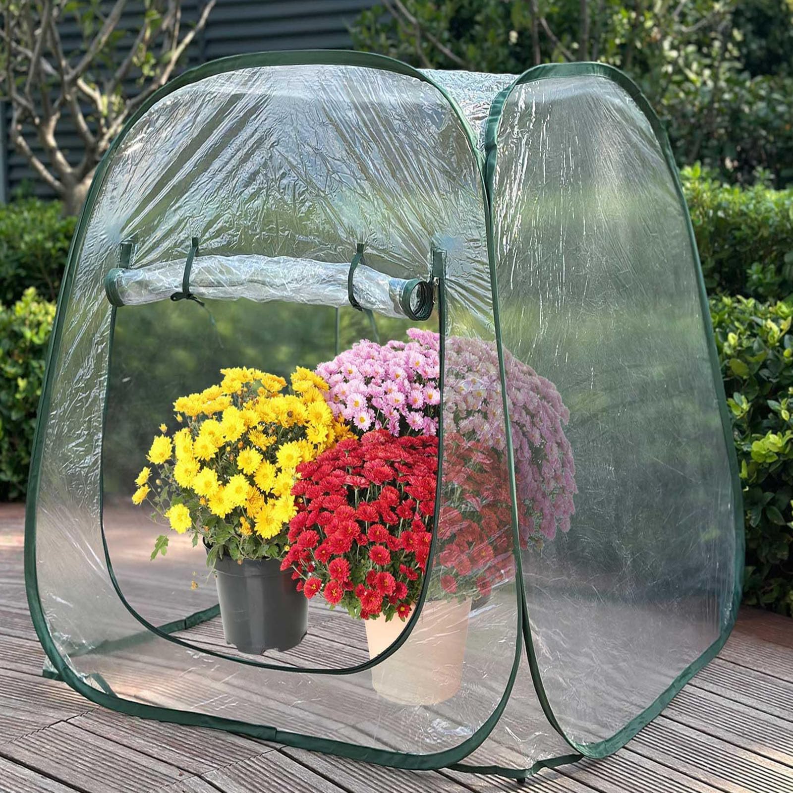 Cubierta de invernadero para plantas, diseño aislado para jardín, materiales protectores de PVC transparente, construcción de marco de acero, cubierta protectora para plantas para varias estaciones
