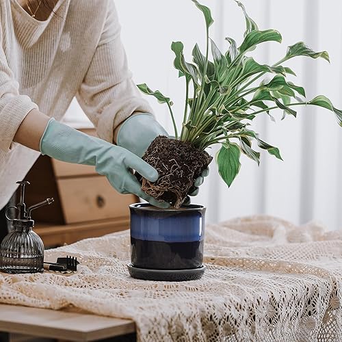 Vista 55 de Maceta de cerámica de 8 pulgadas: maceta de cerámica con orificio de drenaje y platillo para plantas de interior y exterior, maceta con bandeja