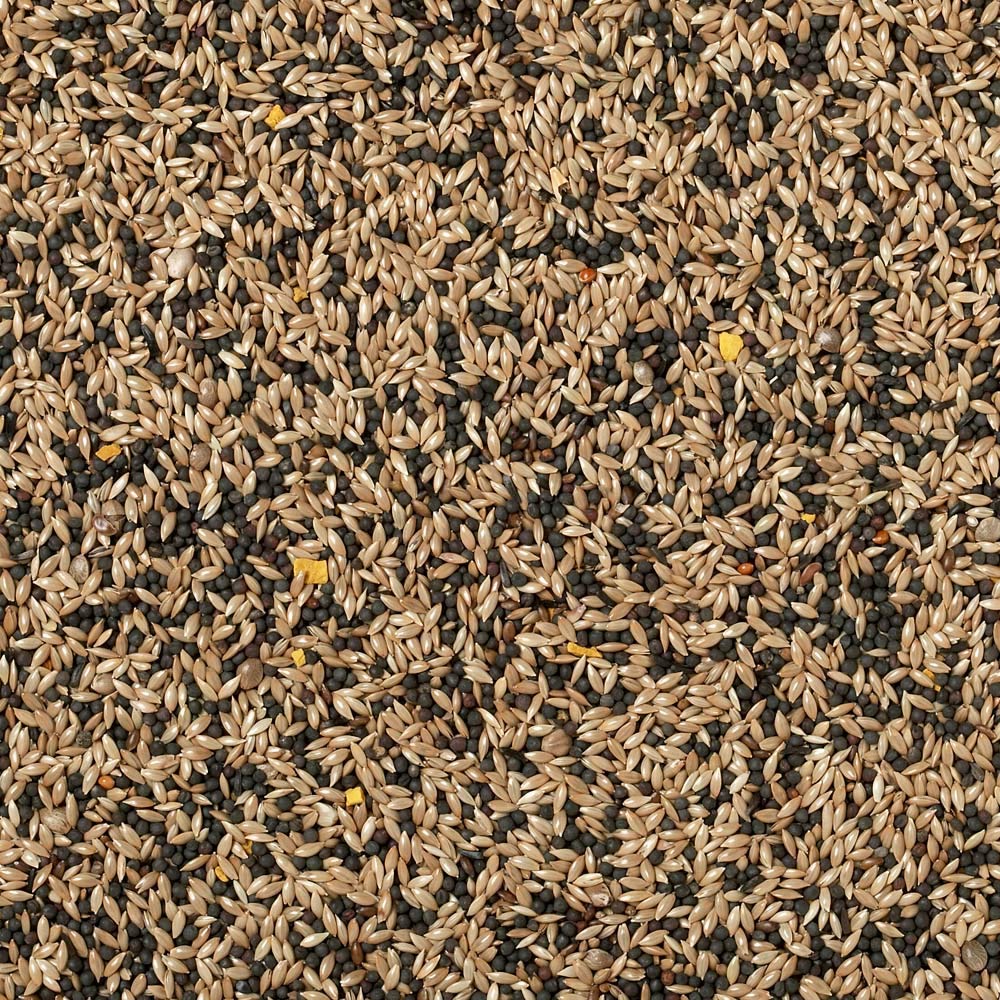Johnson & Jeff Canary Seed - 1kg