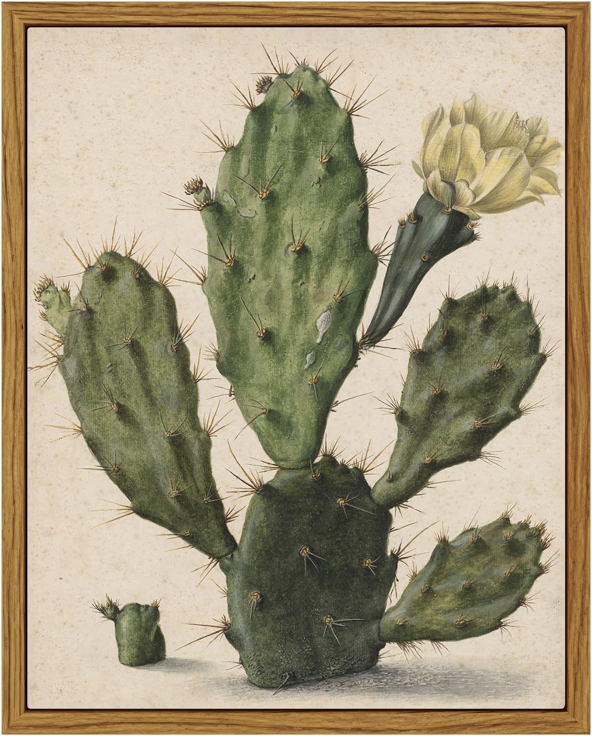 ARPEOTCY Vintage Framed Cactus Wall Art, Botanical Floral Home Farmhouse Country Decor, Canvas Prints Art, Rustic Kitchen Still Life Paintings Retro Decor, 8x10 Inch