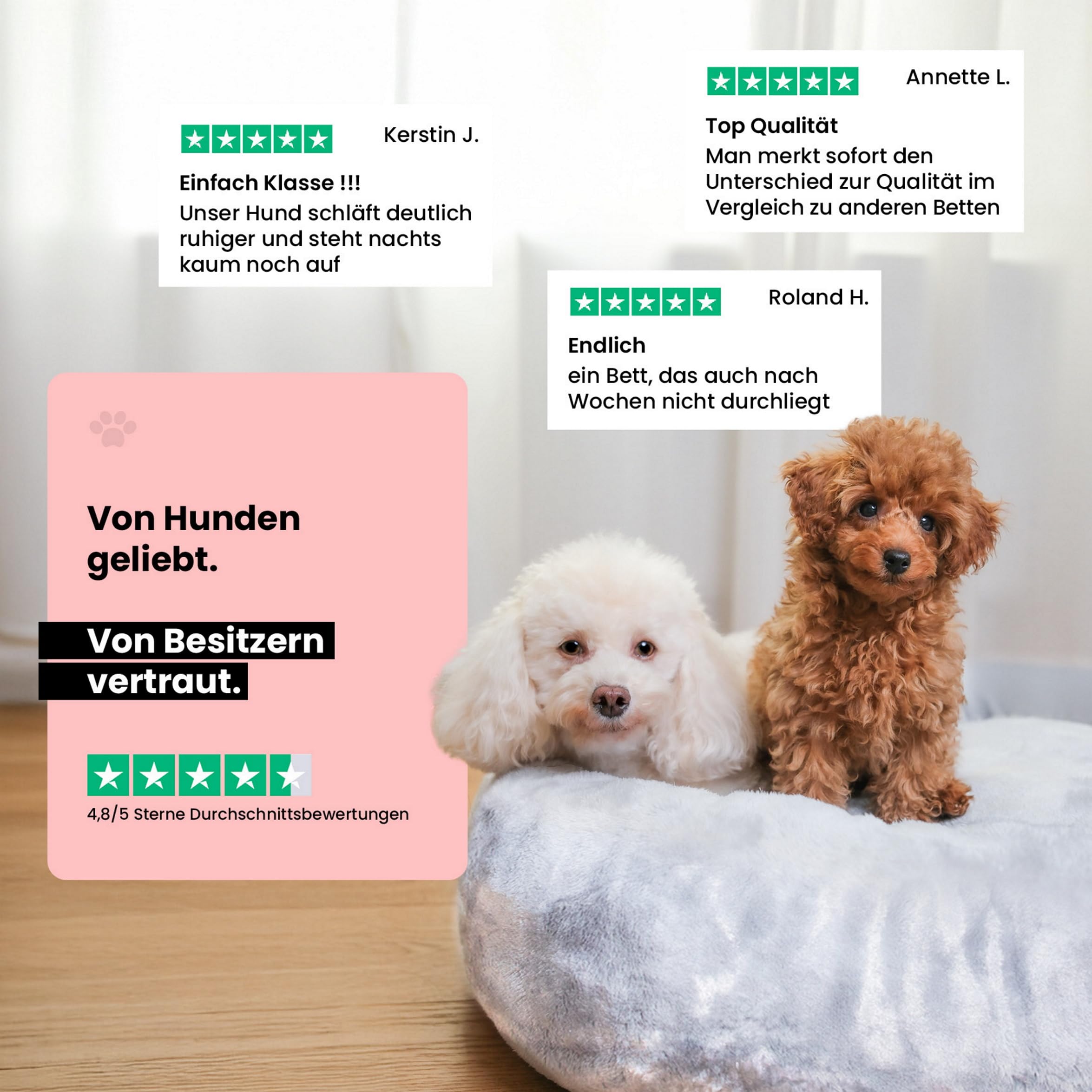 Wahre Tierliebe Cama para perros Cloud 7 [Plus] – El original, con funda lavable [S, 70 cm, gris] Cojín para perros, cesta para perros, cama mullida para perros grandes, medianos y pequeños