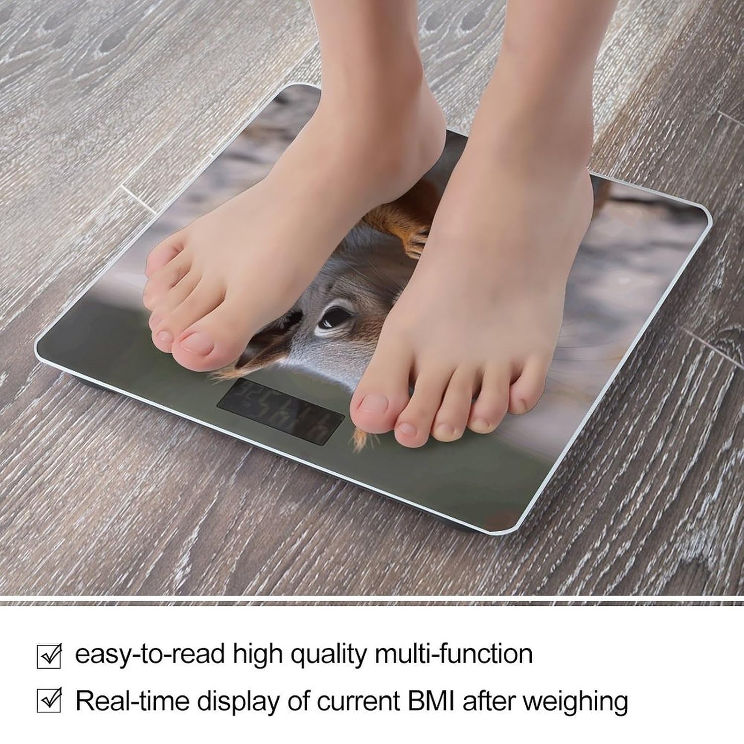 Cute Squirrel Bathroom Scale Weight Scale for Body Weight,Highly Accurate Digital Weighing Machine Clear LED Display Digital Bathroom Body Scale 400lb/182kg