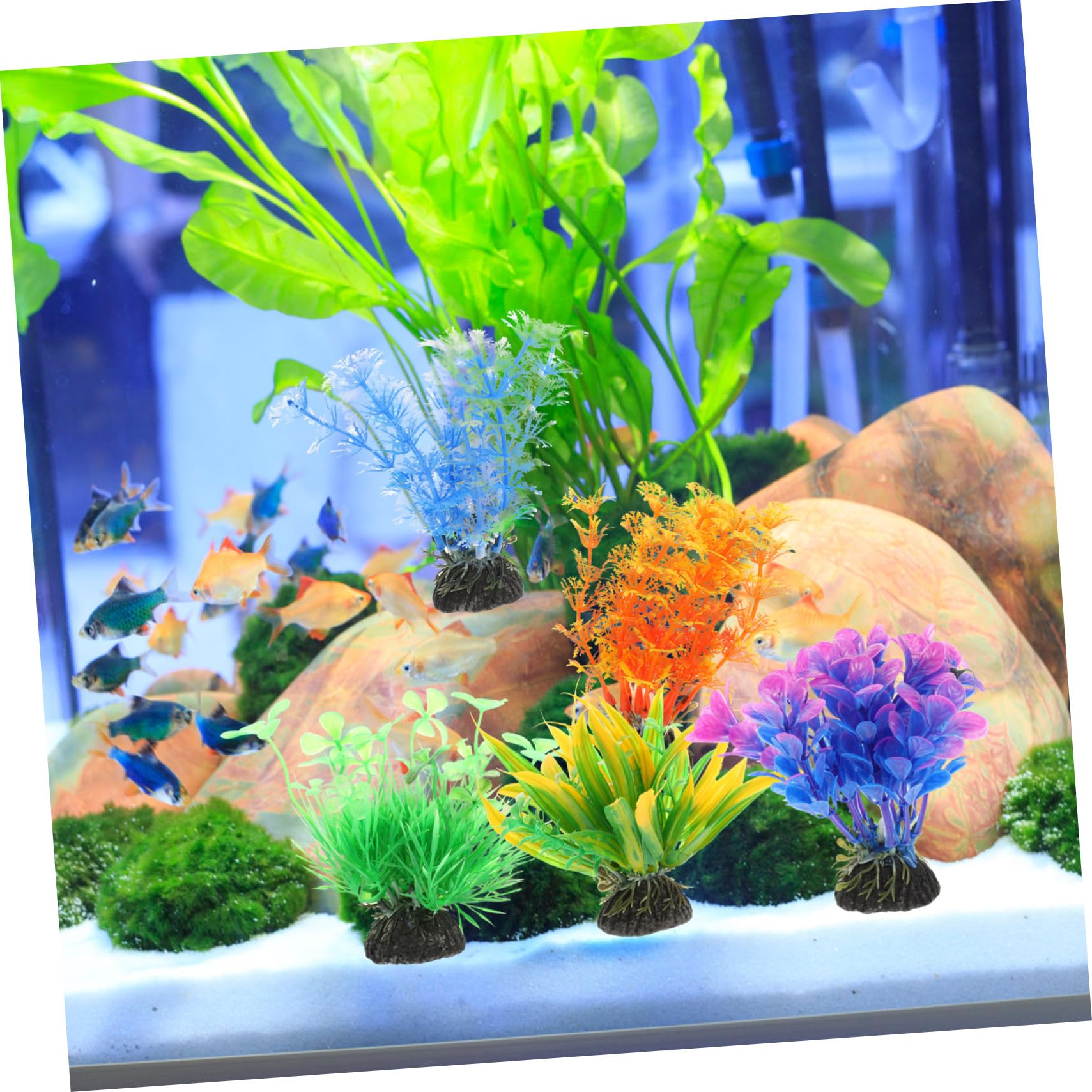 IMIKEYA 5 Set Piante Acquatiche Artificiali Realistiche per Acquari Decorazioni per Acquatici Design Leggero E Facile da Posizionare 5 Pezzi*5