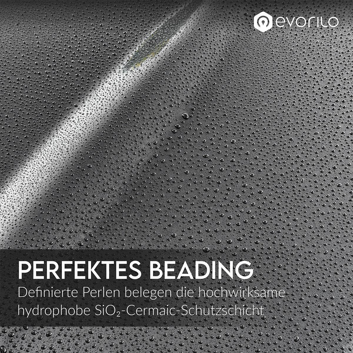 Keramikversiegelung Set | Lack & Scheiben mit SiO2 schützen | Ceramic Skin 750ml + Ceramic Ultra Vision 750ml | 2-teilig