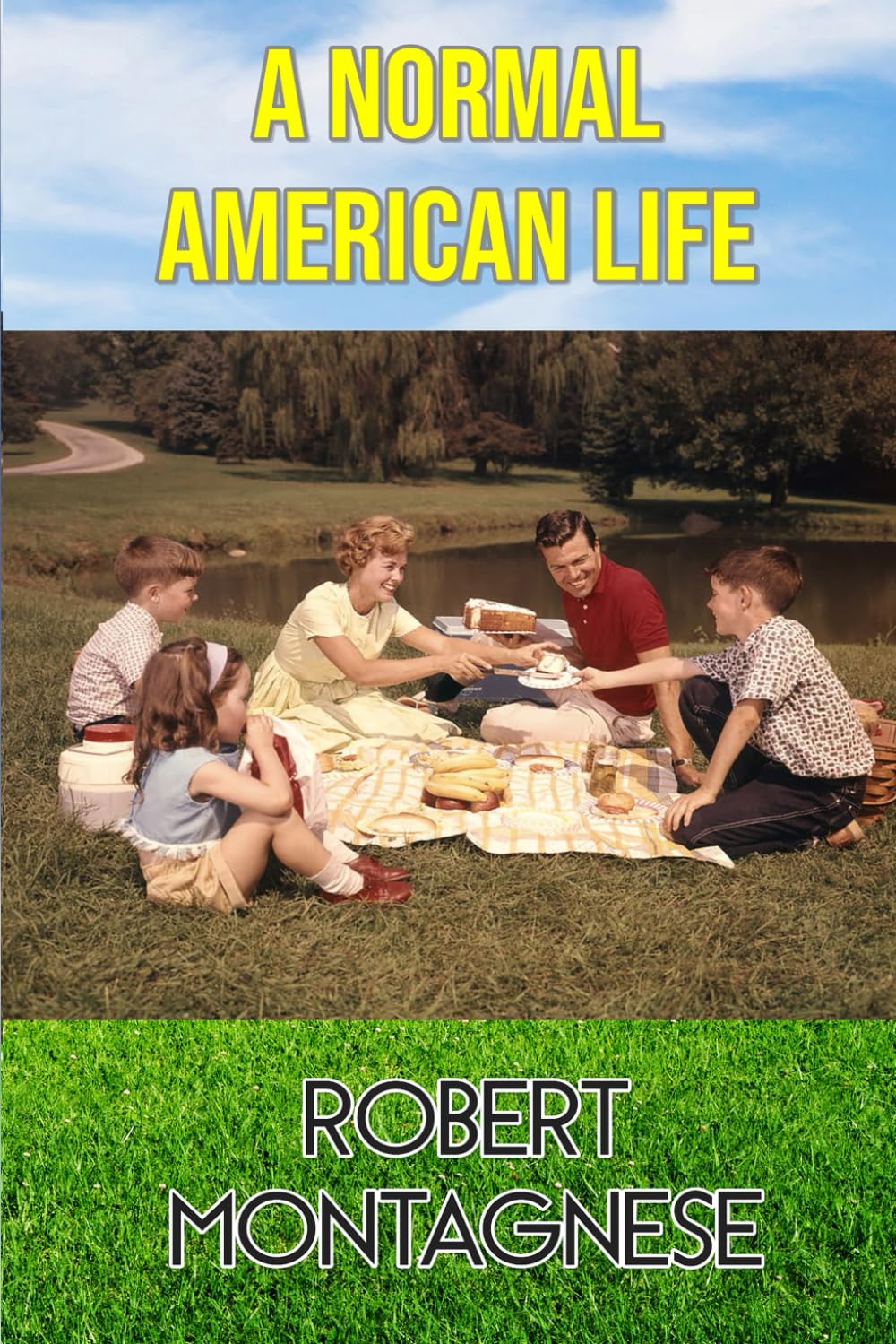 A Normal American Life