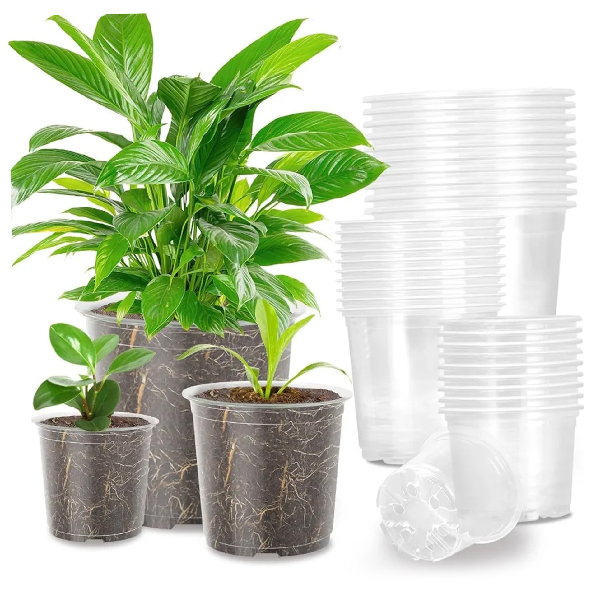 Pots plantes en plastique transparent avec trous de drainage anti-pourrissement x30