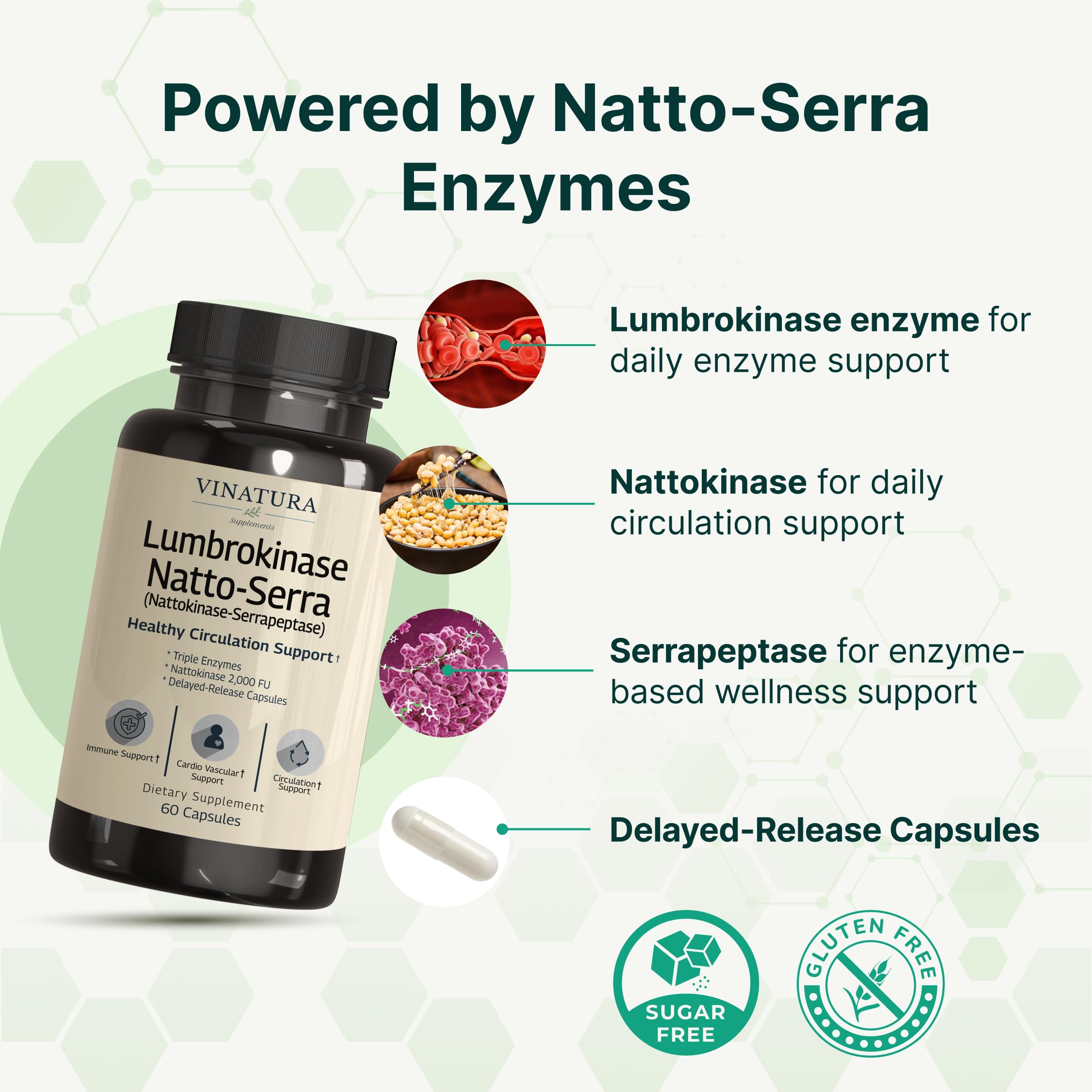 VINATURA Lumbrokinase Serrapeptase Nattokinase - Nattokinase 2000 FU, Lumbrokinase Enzymes Supplement for Blood Circulation Support - 60 Capsules — Amazon image 2