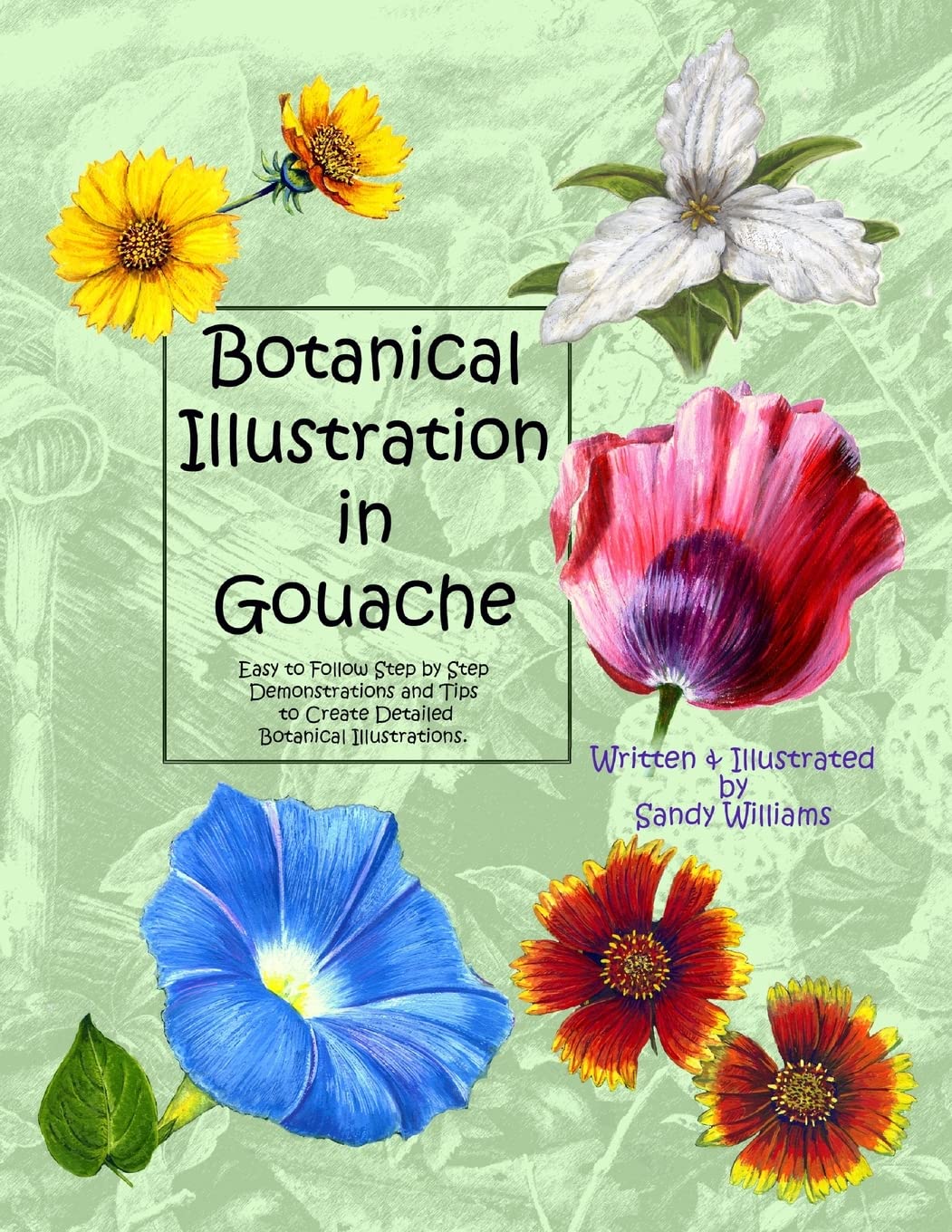 Botanical Illustration in Gouache: Easy to Follow Step by Step Demonstrations to Create Detailed Botanical Illustrations: Volume 1 (Natural Science Illustration in Gouache)