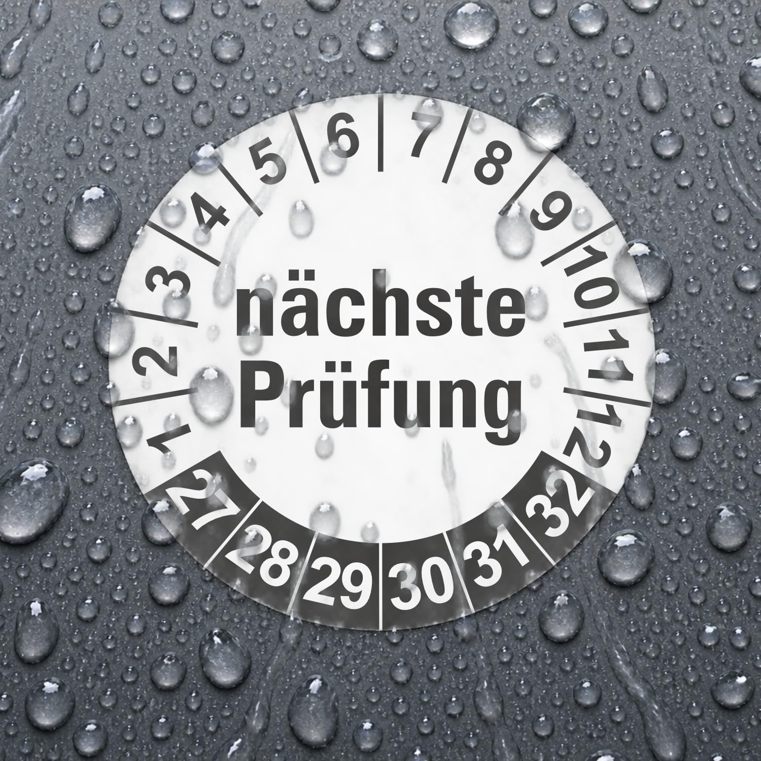 Hochwertige Prüfetiketten NÄCHSTE PRÜFUNG Ø 20mm - Selbstklebende PVC-Folie - Wartungsetiketten für Prüfung - Prüfplakette für Prüfungsnachweis (500 Stück)