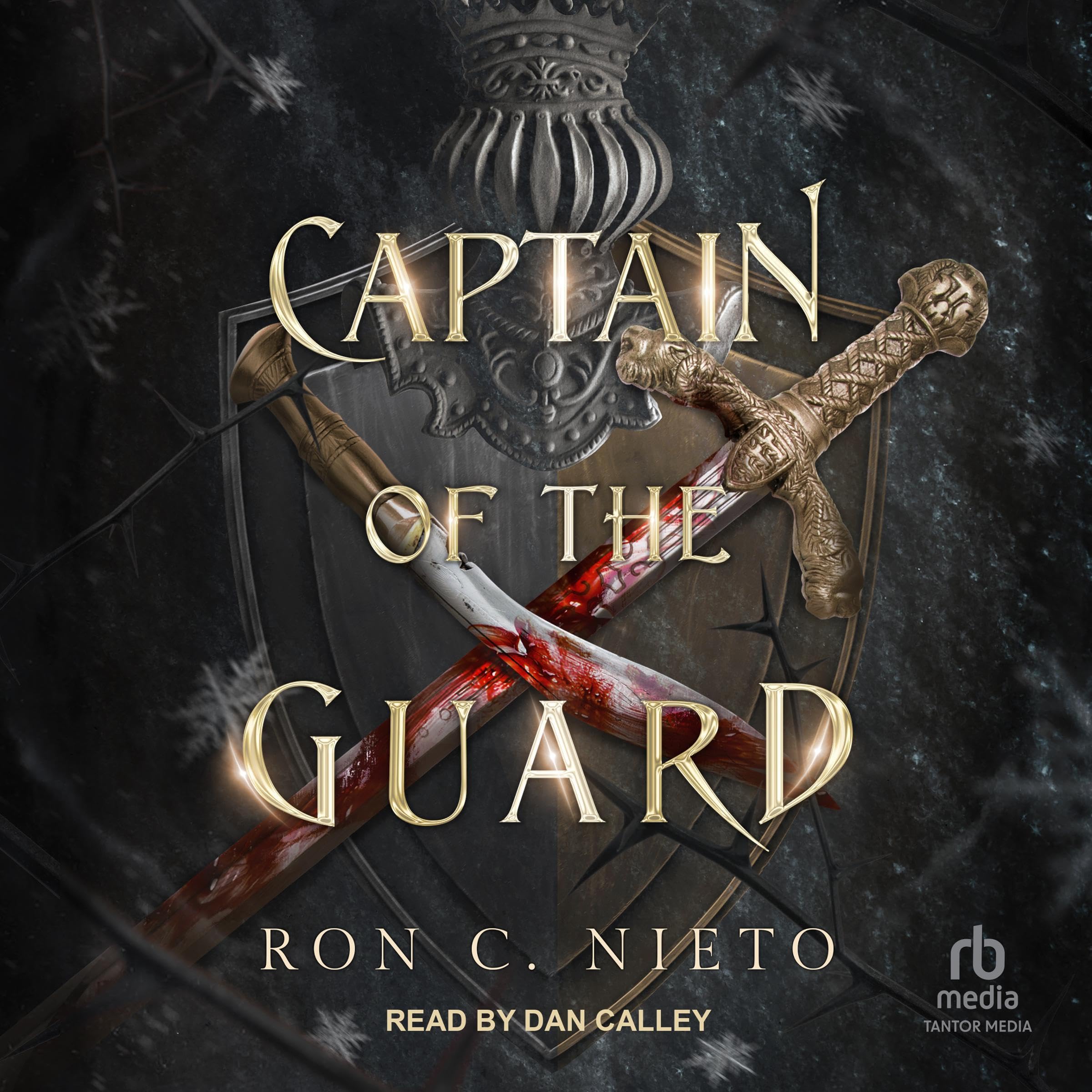 Cover art for Captain of the Guard