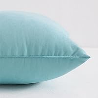 Vista 2 de NTBAY Tiny Pillows, almohada de microfibra alternativa de plumón de 7 x 11 pulgadas para viajes, mascotas, suave lavable a máquina, almohadas