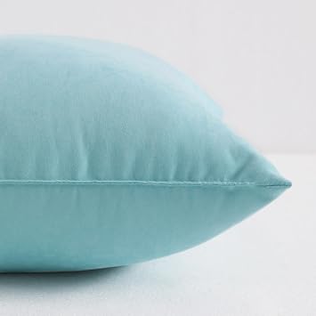 NTBAY Tiny Pillows, Down Alternative 7x11 Microfiber Mini Pillow for Travel, Pets, Soft Machine Washable Small Pillows for Neck, Wrist, Lumbar and Knee, Aqua
