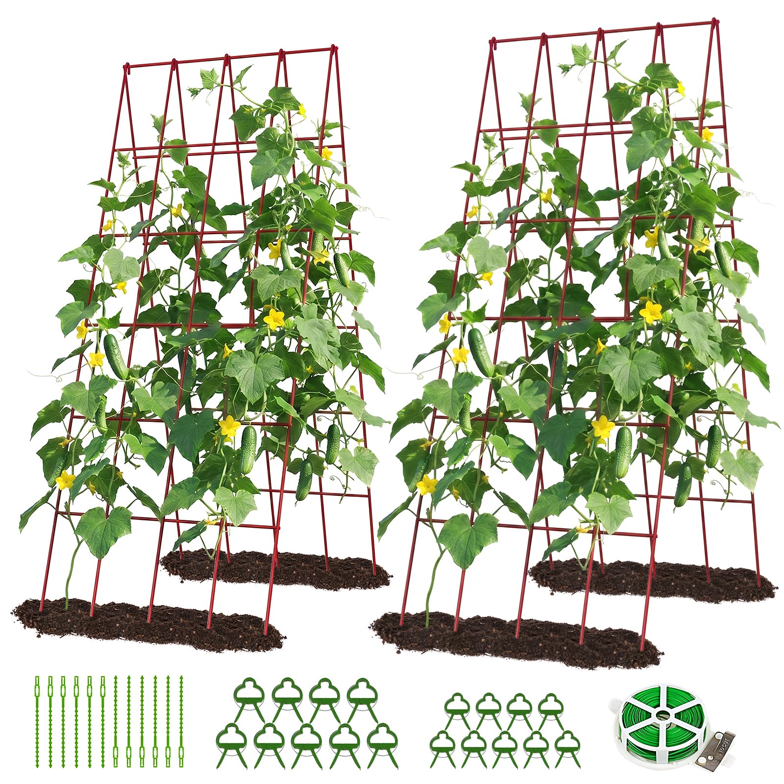 DoCred 39.4' H Cucumber Trellis 2 Pack