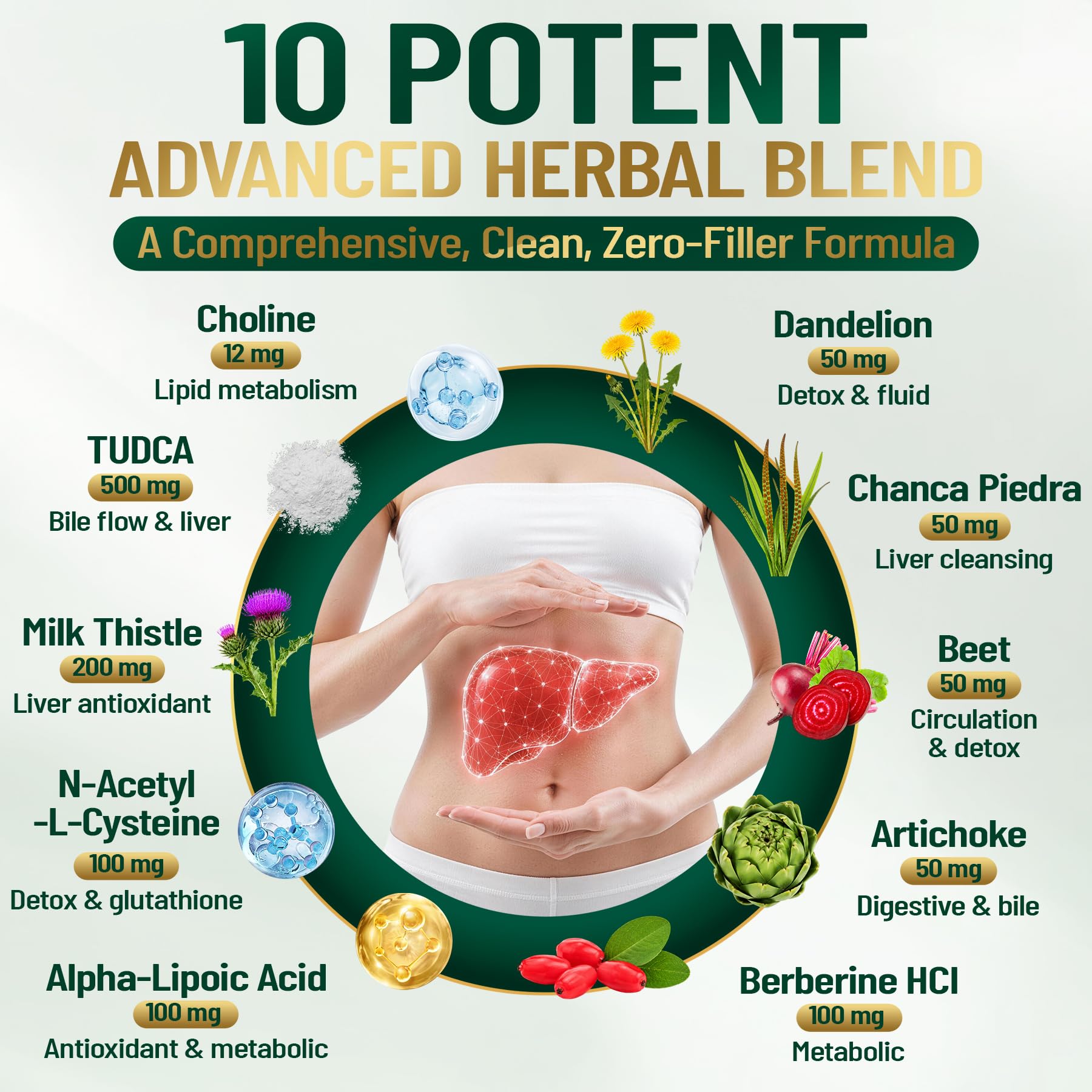 TUDCA Bile Salts 500mg Supplement 10-in-1 for Liver, Gallbladder, Digestion — Amazon image 4