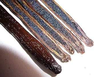 Vanilla Bean Kings 25 Organic Madagascar Beans. Whole Grade A Pods for Extract and Baking